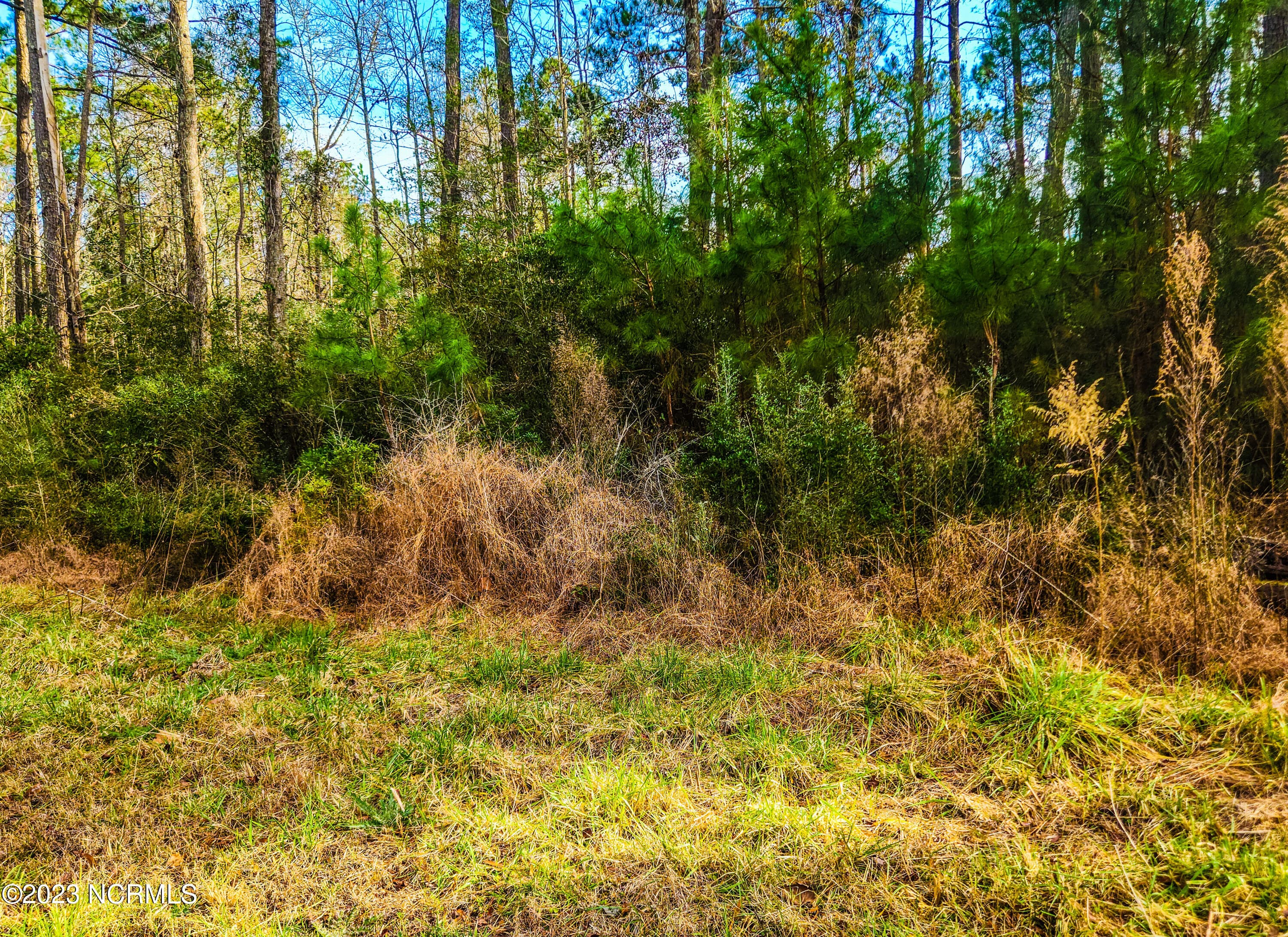 Wooded at 153 2 Oswell Brinson Road, Merritt, NC 28556, photo 4 of 4
