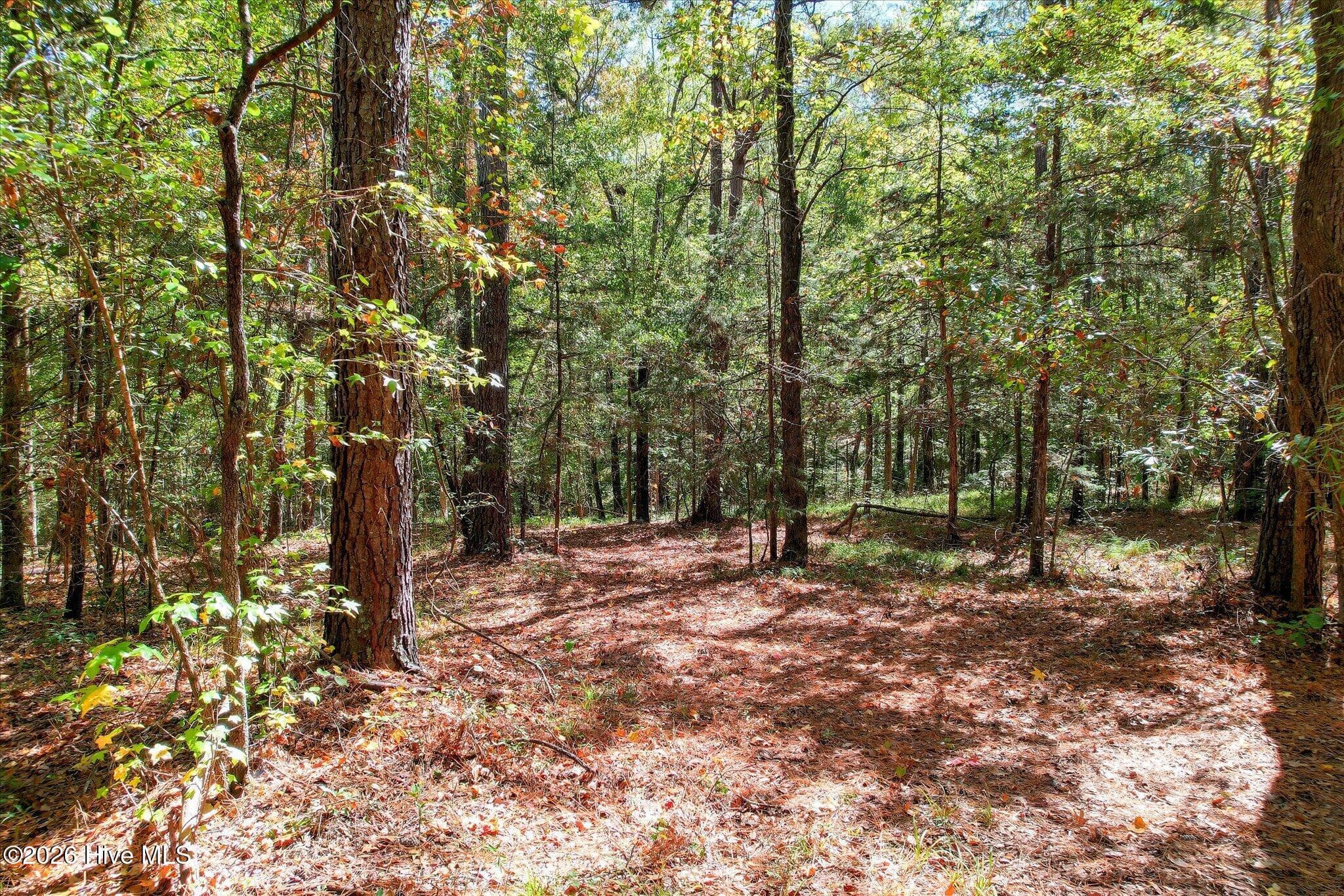 Single Family Residence at 2583 Scotts Ferry Road, Appling, GA 30802, Appling, photo 45 of 49