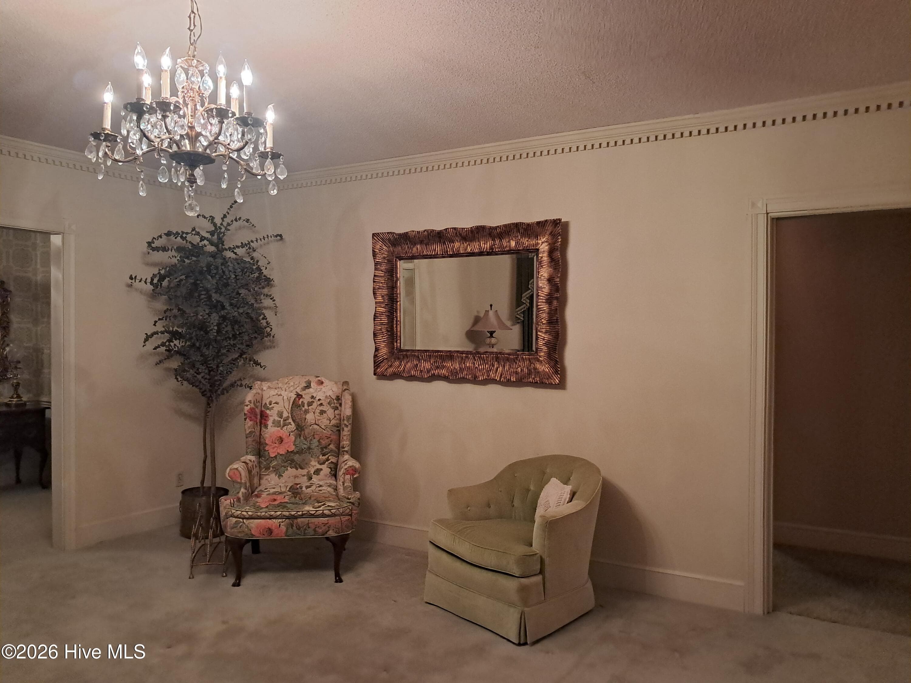 Living room - 316 First Street, Hookerton, NC 28538