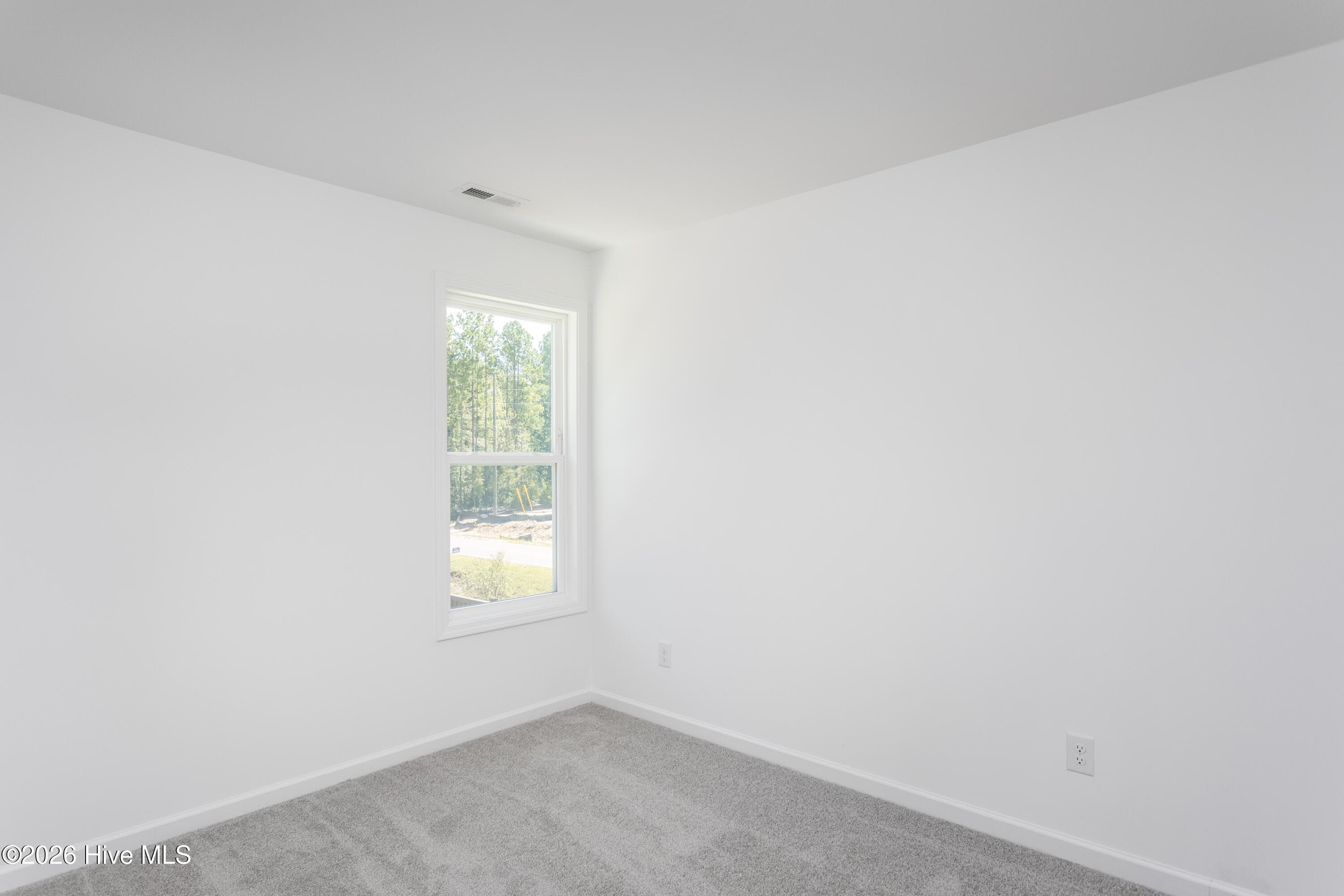 Representation - 2016 Red Woodpeckers Court Lot #35, Leland, NC 28451
