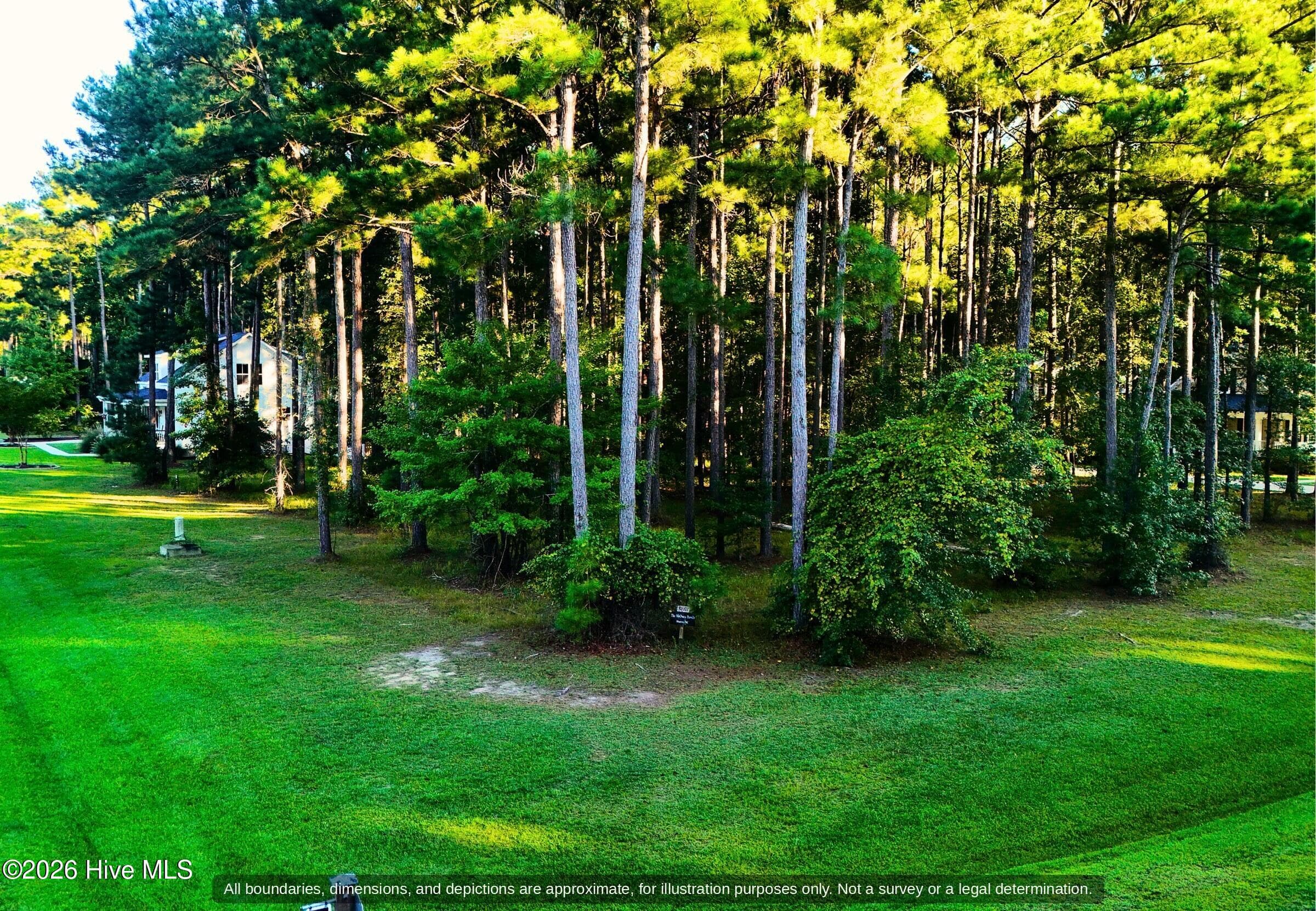 The lot from the street: tall pines and a mowed grass edge on Mill Creek Dr in Arlington Place - 0000-0000 LOT 83 Mill Creek Drive, Minnesott Beach, NC 28510