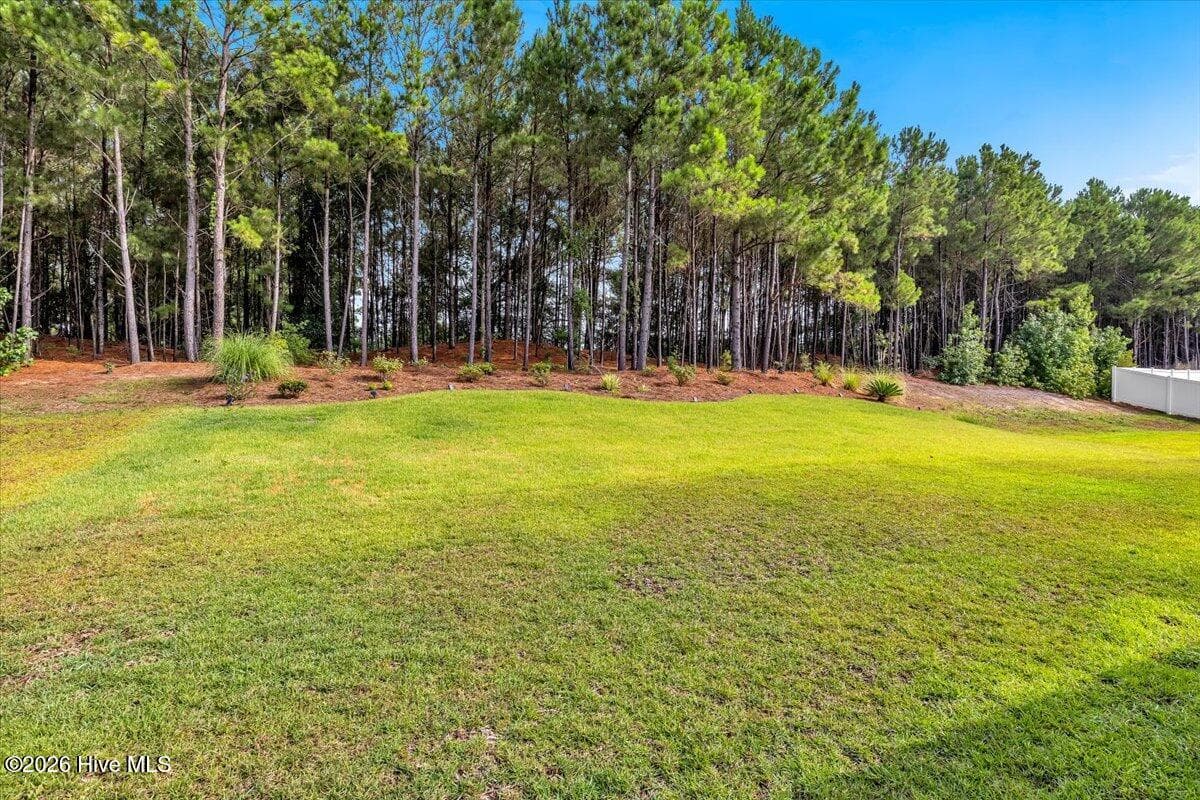Single Family Residence at 1320 N Fisher King Drive SE, Bolivia, NC 28422, photo 49 of 68