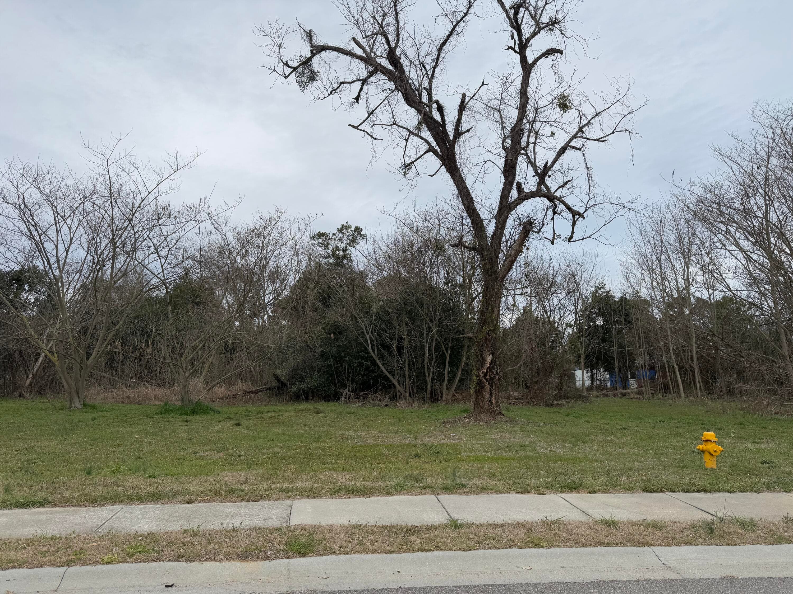 Residential Lot at 156 Mcelmurray, Augusta, GA 30901, photo 2 of 2