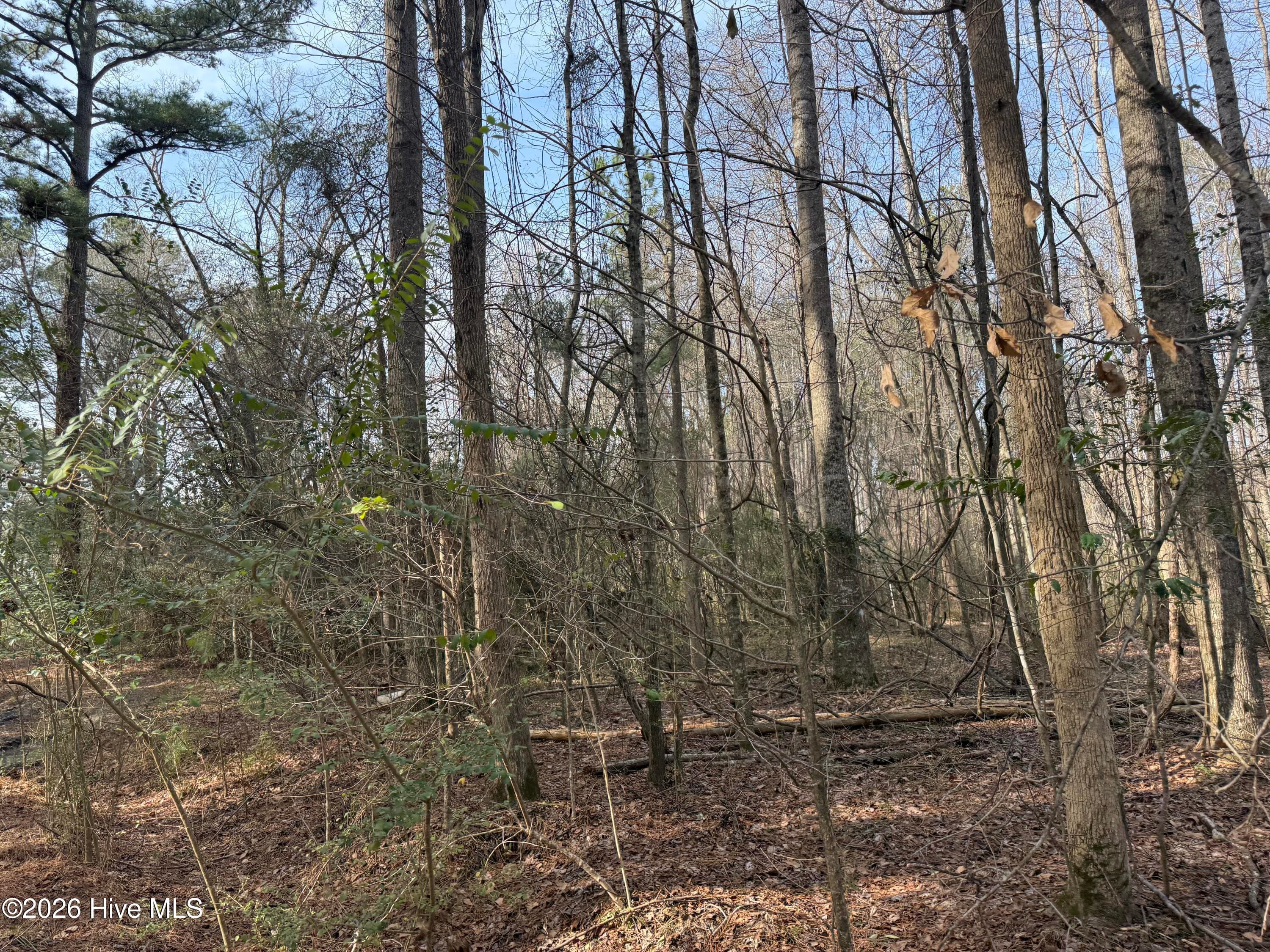 Mixed Use at 269 Creek Road, Bath, NC 27808, photo 14 of 21