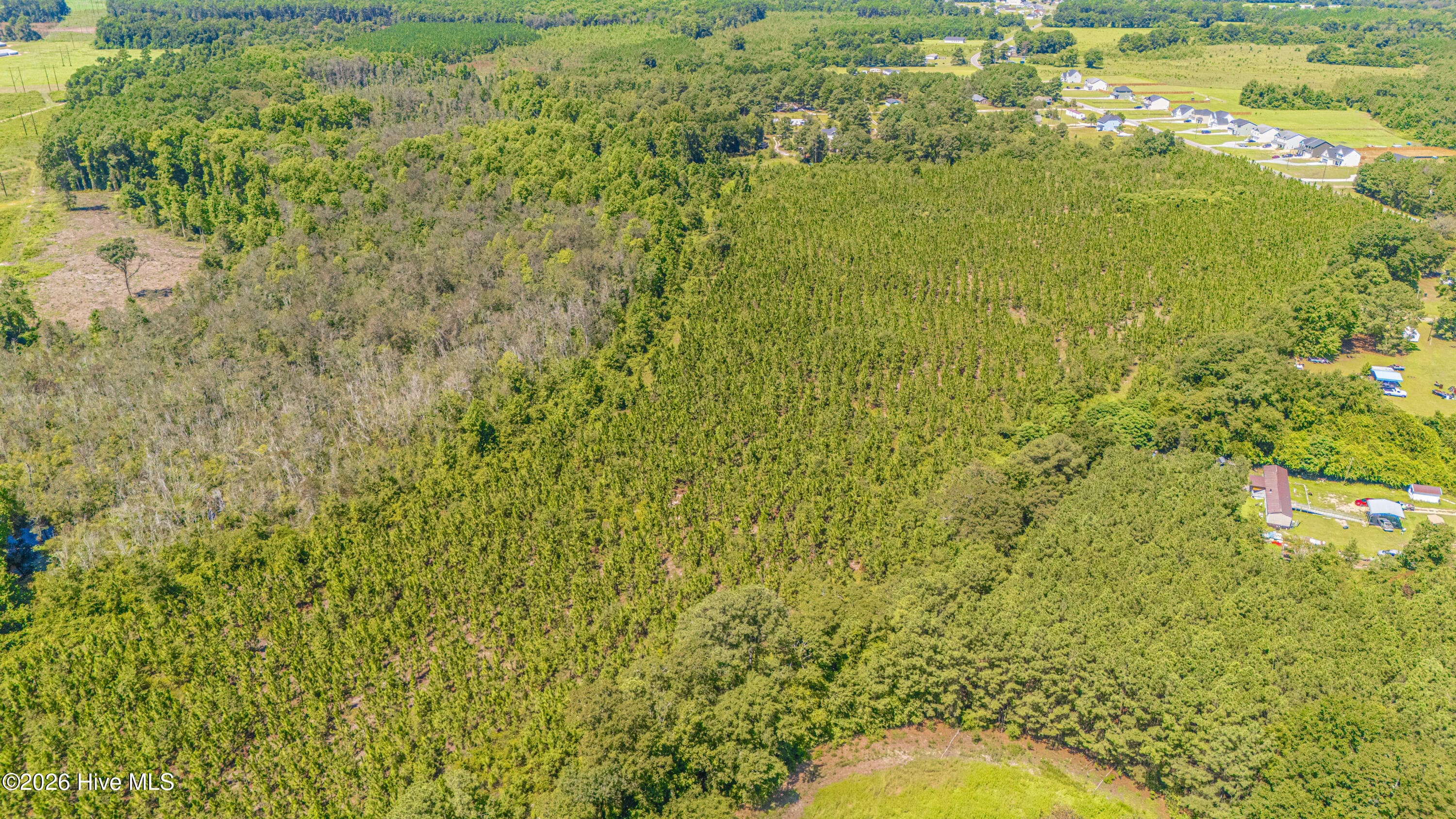 Residential Lot at Tbd Blue Springs Road, Red Springs, NC 28377, photo 5 of 11