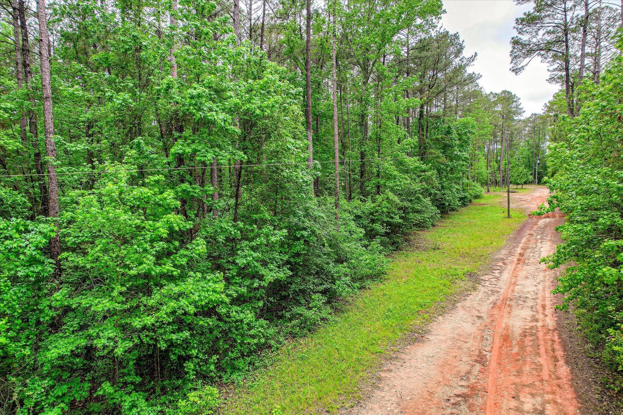 Residential Lot at 1622 Hinton Wilson Road, Harlem, GA 30814, photo 4 of 16
