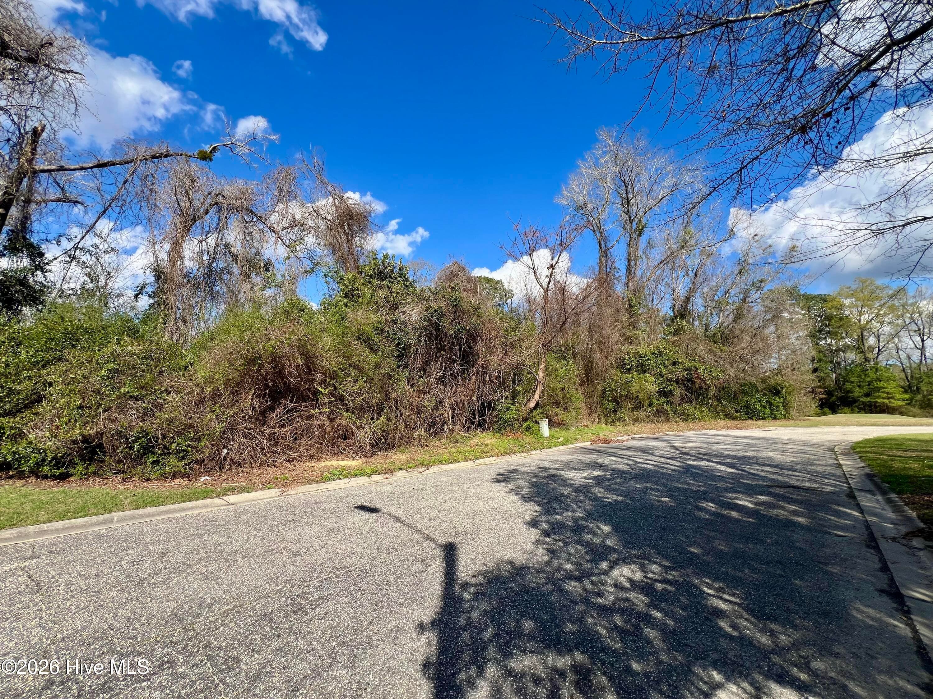 Wooded at 615 Pecan Lane, Whiteville, NC 28472, photo 3 of 10