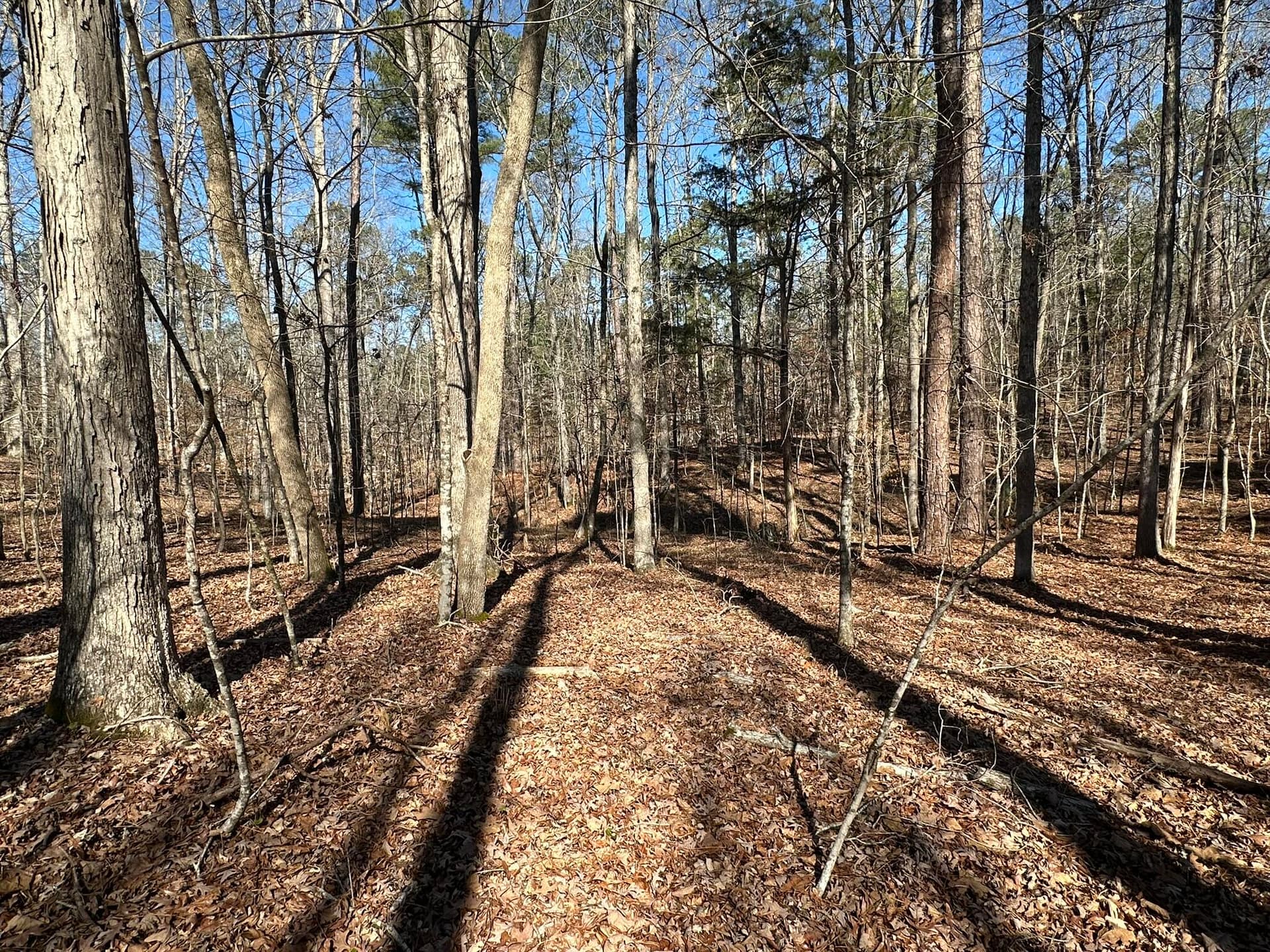 Residential Lot at 117 B35 L9 Cumberland Drive, McCormick, SC 29835, photo 9 of 14