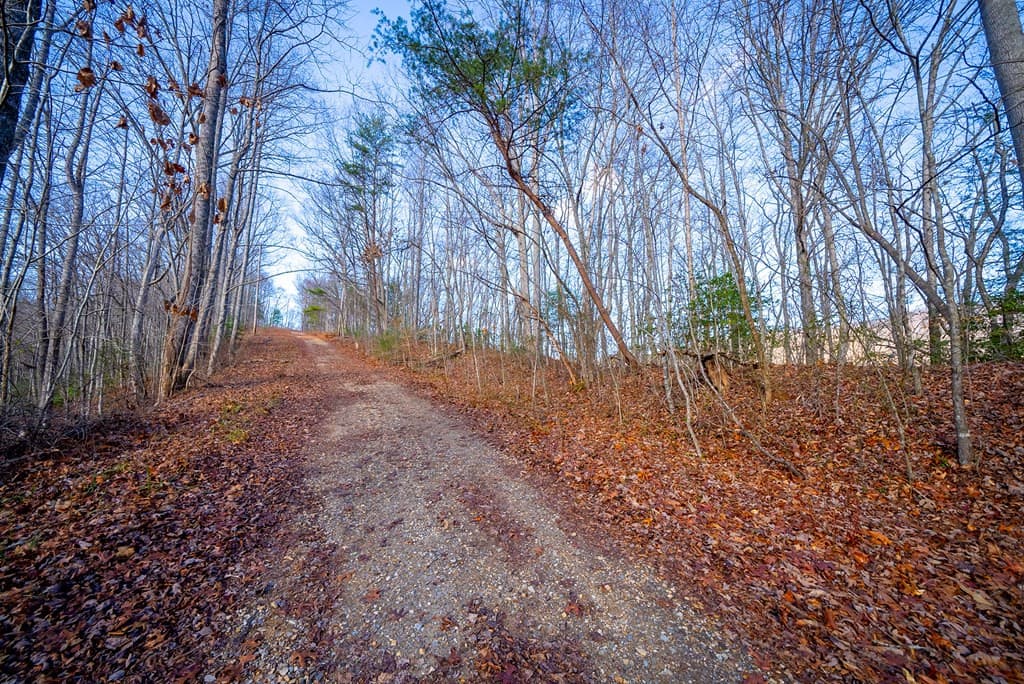 Land at 0 Golf Course Road, Robbinsville, NC 28771, photo 7 of 7