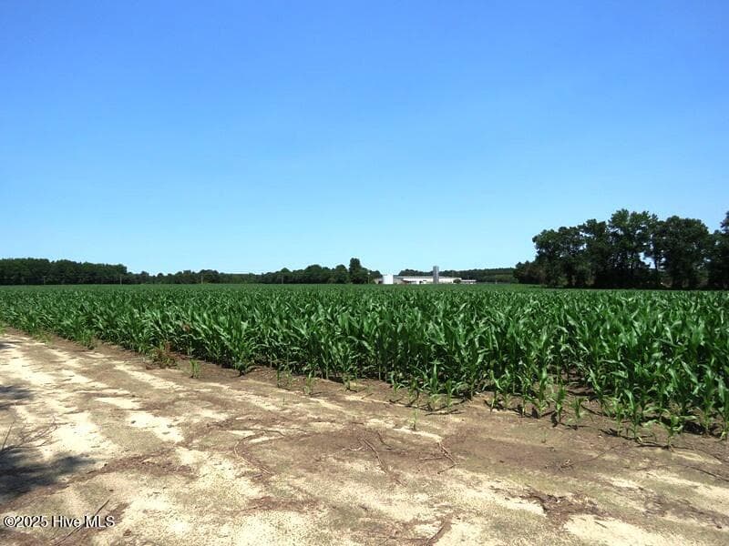 Agriculture at Tbd Highway 71, Red Springs, NC 28377, photo 11 of 17