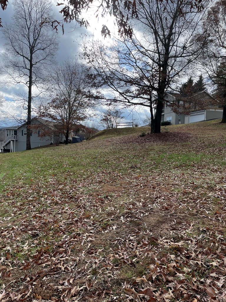 Land at na Skipper Lane, Hiawassee, GA 30546, photo 8 of 9