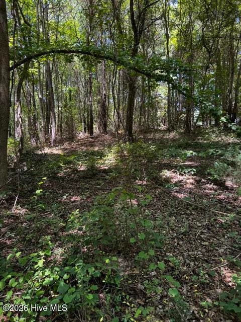 Undeveloped at Lot 1 Dan Road, Robbins, NC 27325, photo 8 of 22