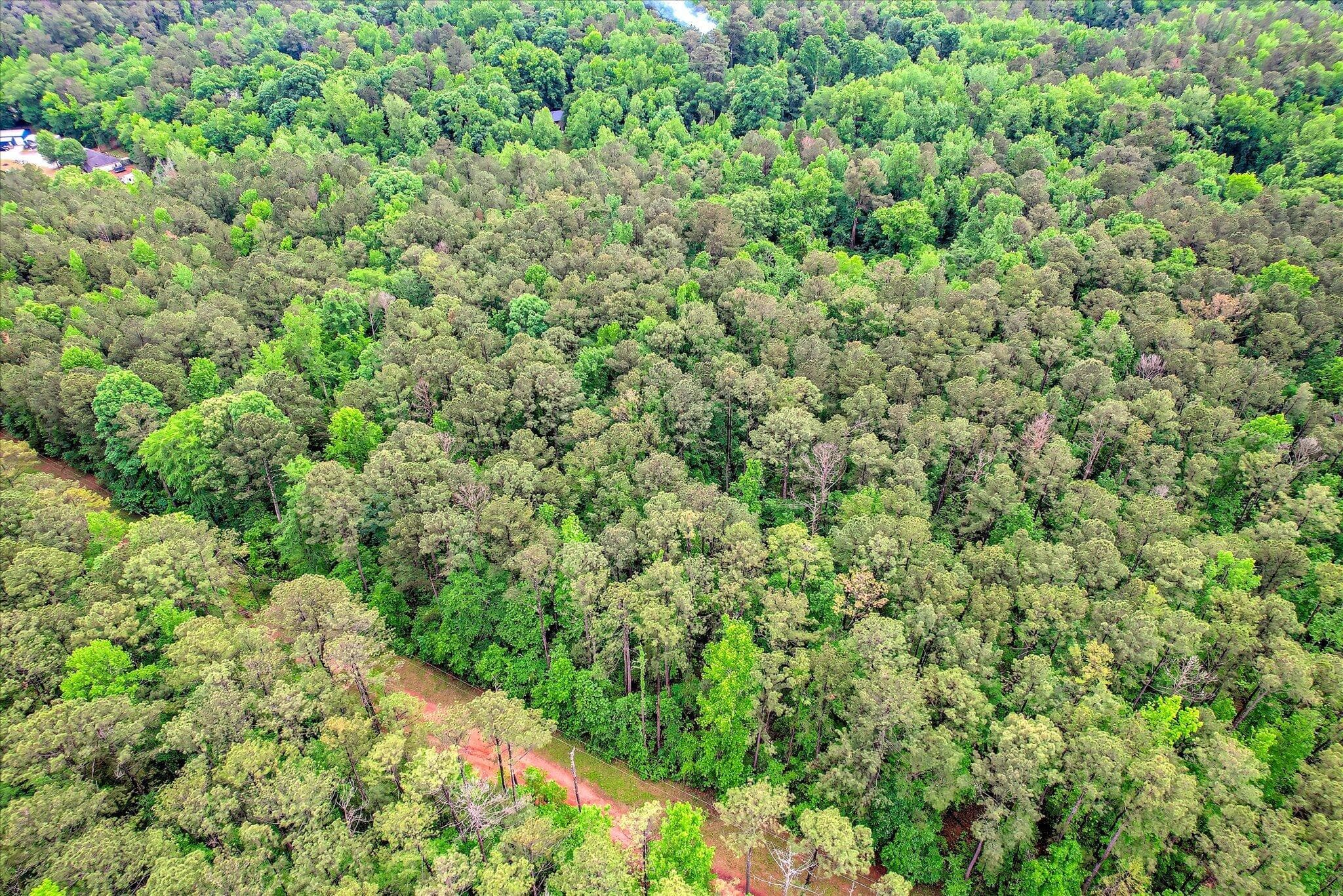 Residential Lot at 1622 Hinton Wilson Road, Harlem, GA 30814, photo 7 of 16