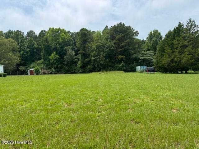 0 Shady Lane Road, Willard, NC 28478