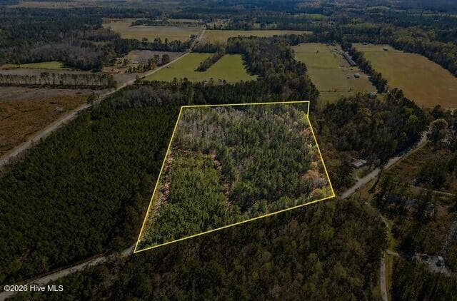 Undeveloped at 1014 Iler Road, Pembroke, GA 31321, photo 2 of 5