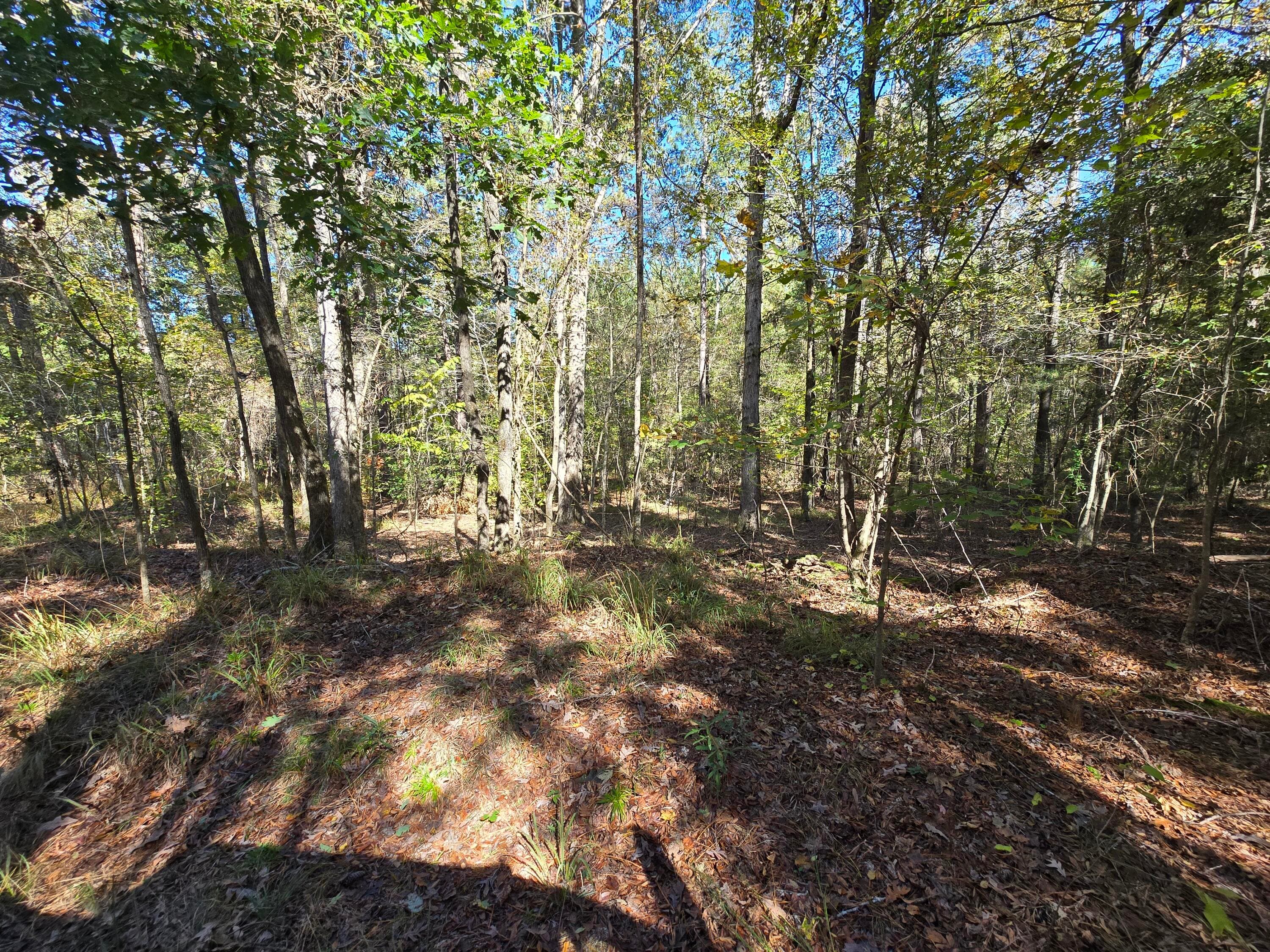 Mixed Use at 7501 Rainey Morris Road, Appling, GA 30802, photo 31 of 47