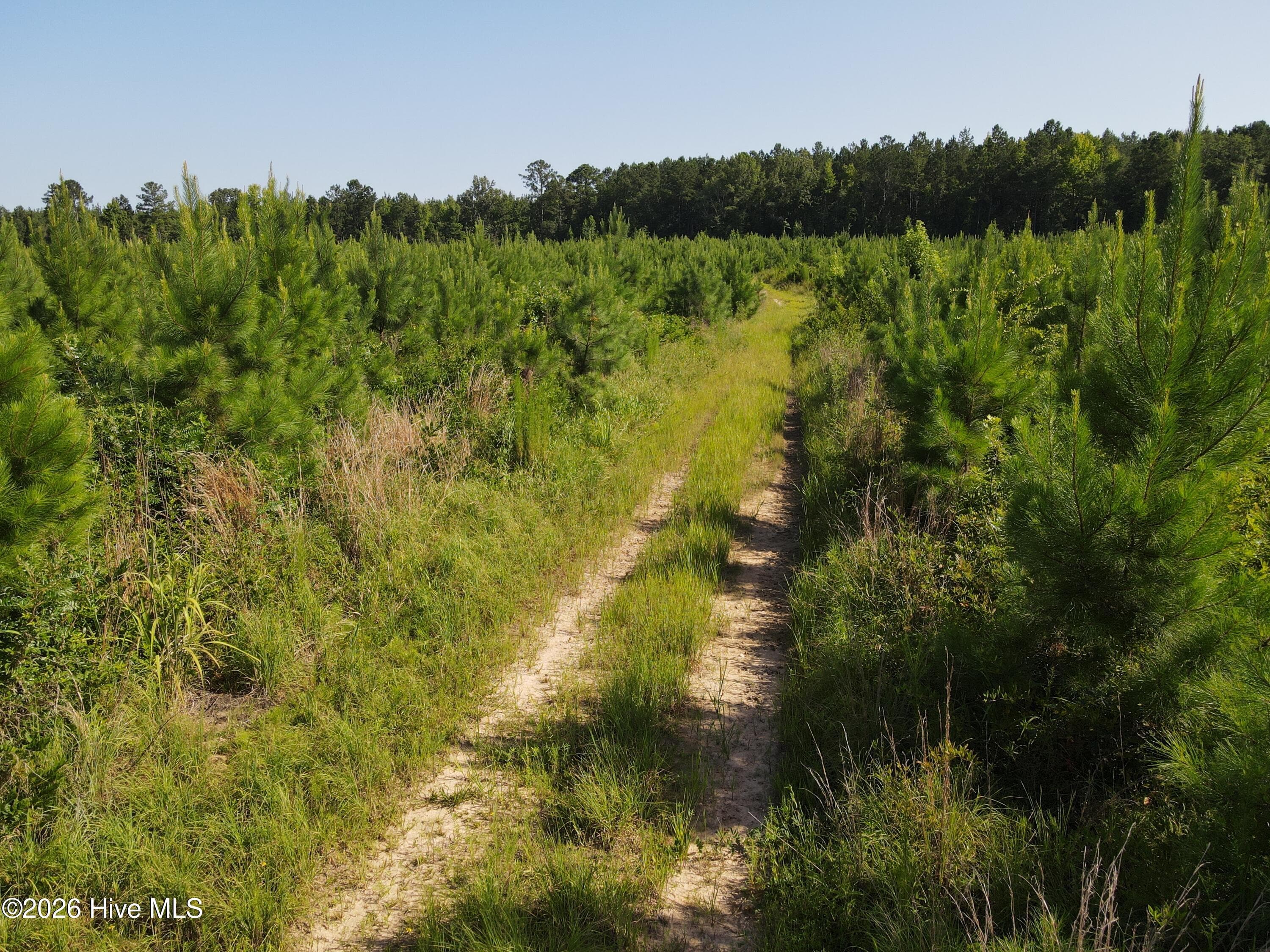 Wooded at 1 Youngblood Road, Sparta, GA 31087, photo 6 of 7