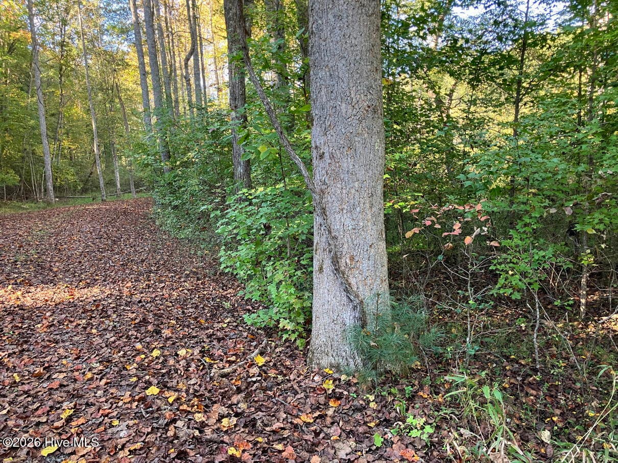 Residential Lot at 6 6 Rushing Water Trail, Hayesville, NC 28904, Hayesville, photo 6 of 14