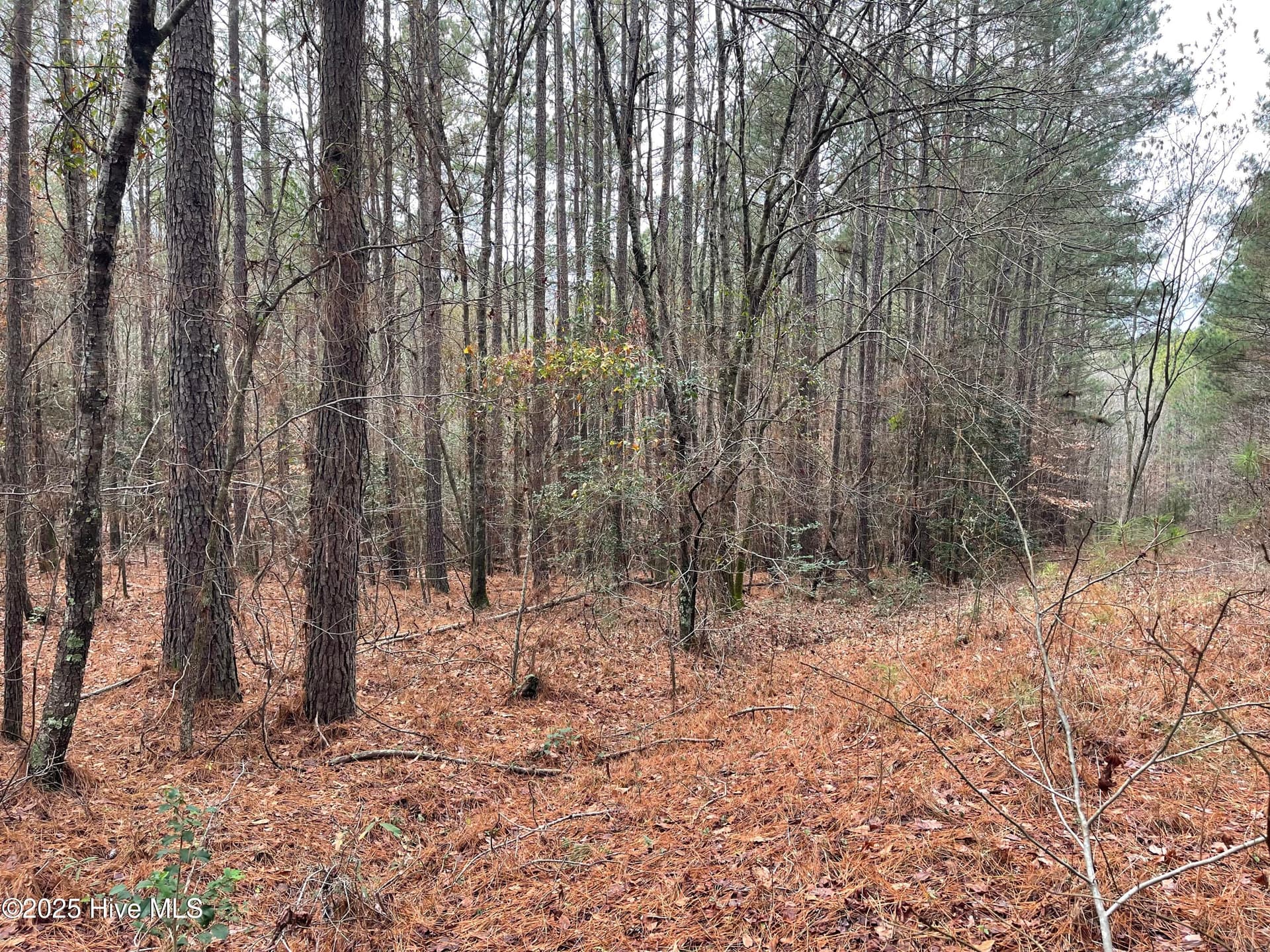 Residential Lot at 000 N State Lane, Rockingham, NC 28379, photo 2 of 4