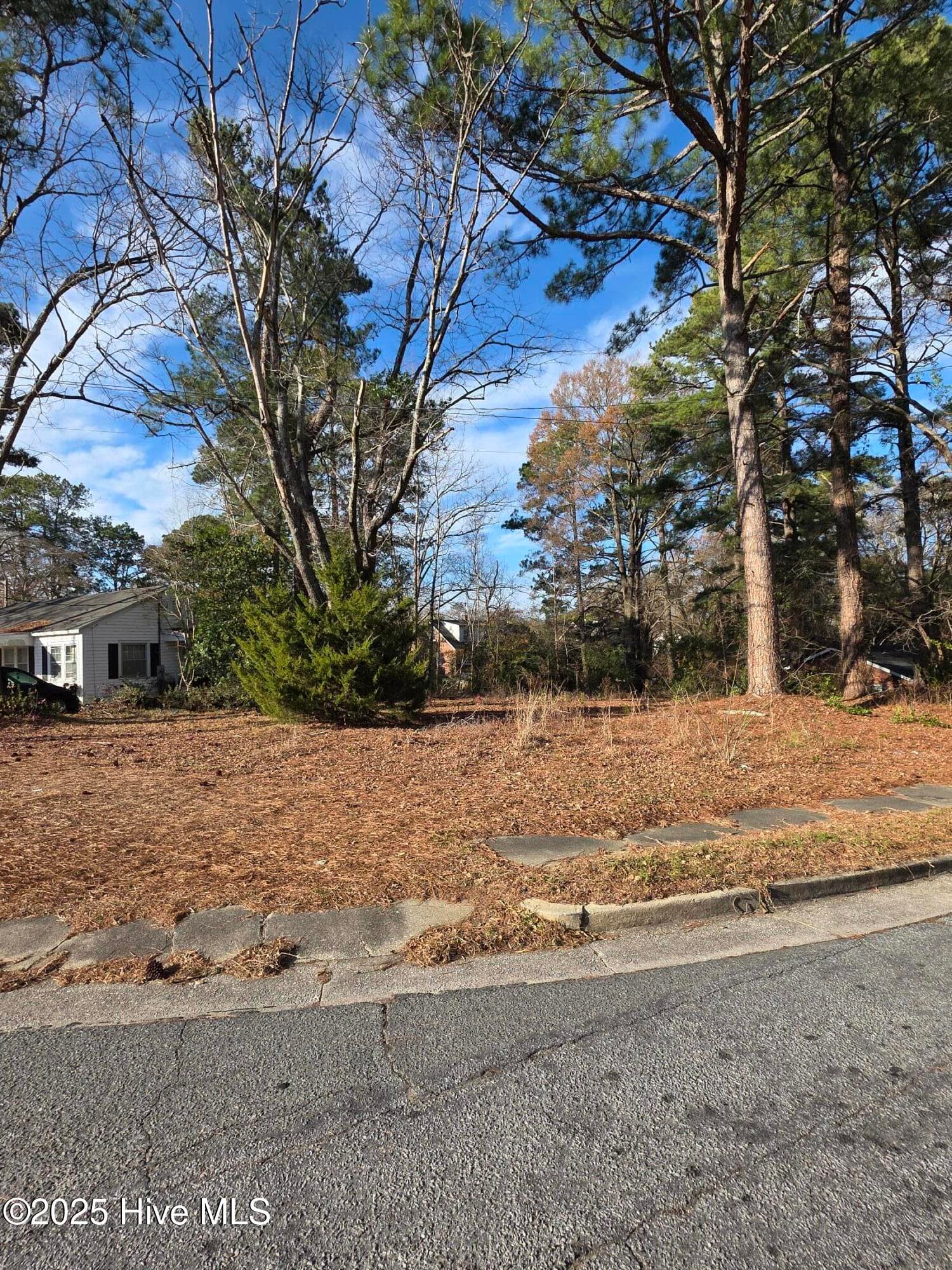 Residential Lot at 404 Summit Avenue, Kinston, NC 28501, photo 3 of 7