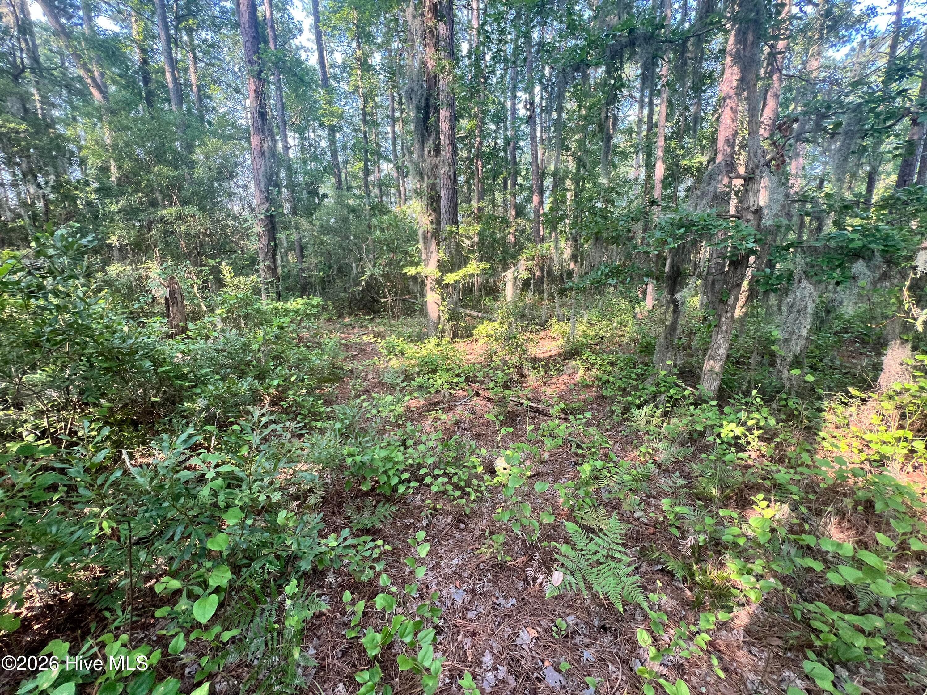 Residential Lot at Lot 2 & 3 Strawhorn Creek Road, Aurora, NC 27806, photo 12 of 18
