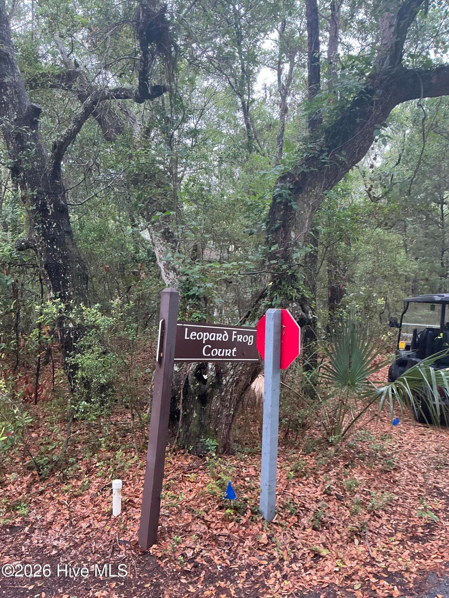 Street - 8 18 Leopard Frog Court, Bald Head Island, NC 28461