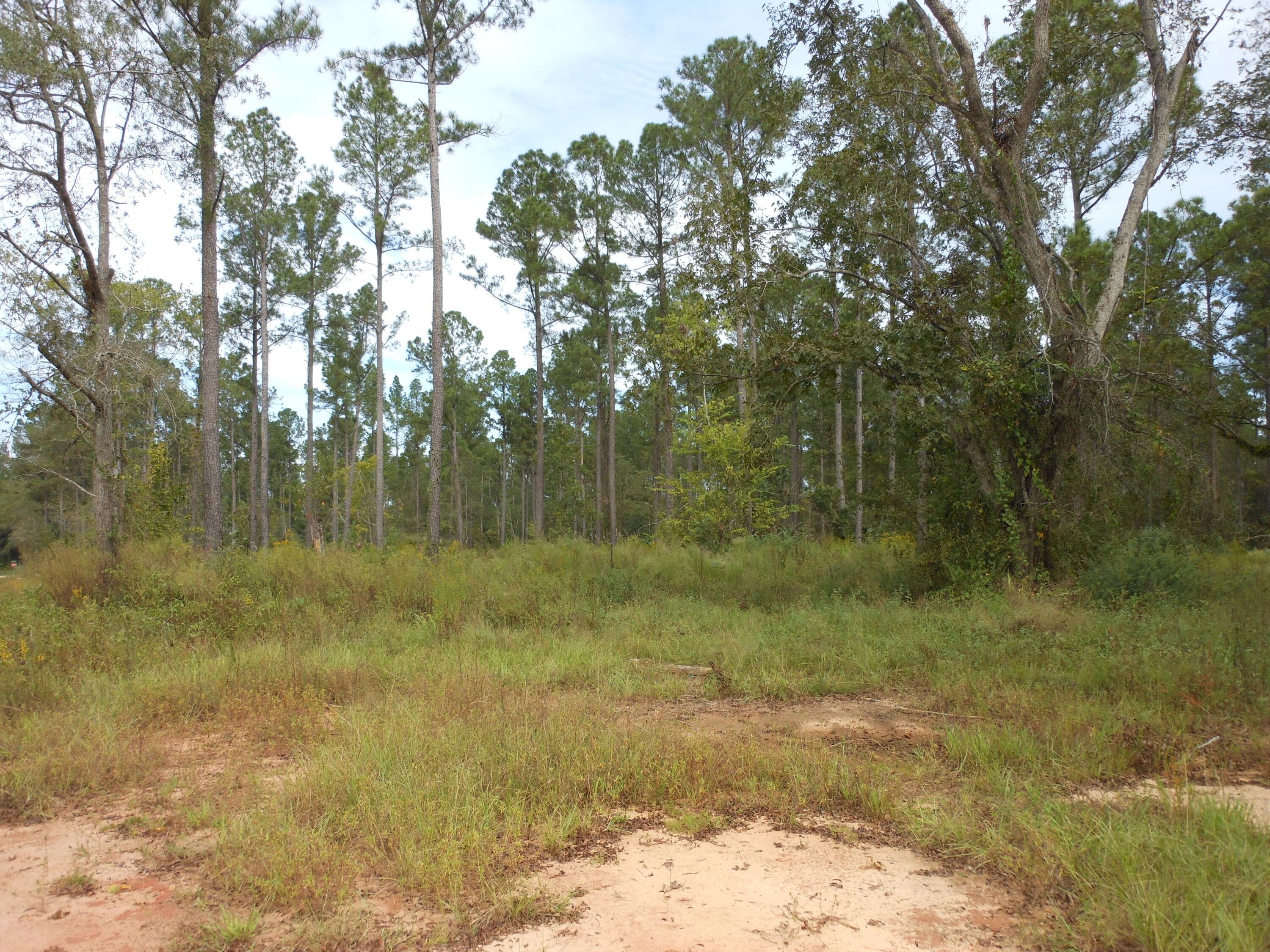 Undeveloped at 0 Hannah Lane, Keysville, GA 30816, photo 3 of 3