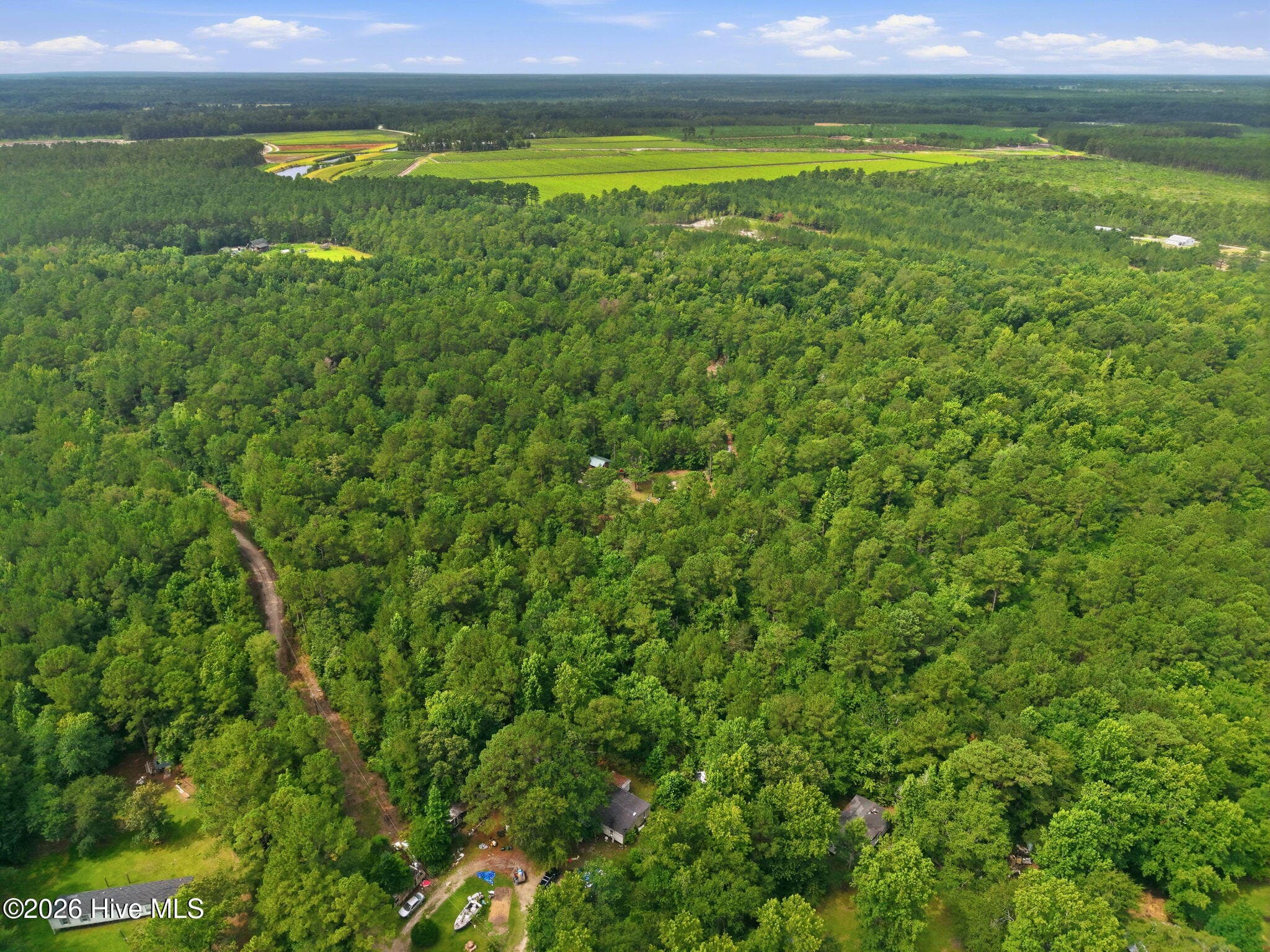 Undeveloped at 0 Copperhead Lane, Burgaw, NC 28425, photo 12 of 24