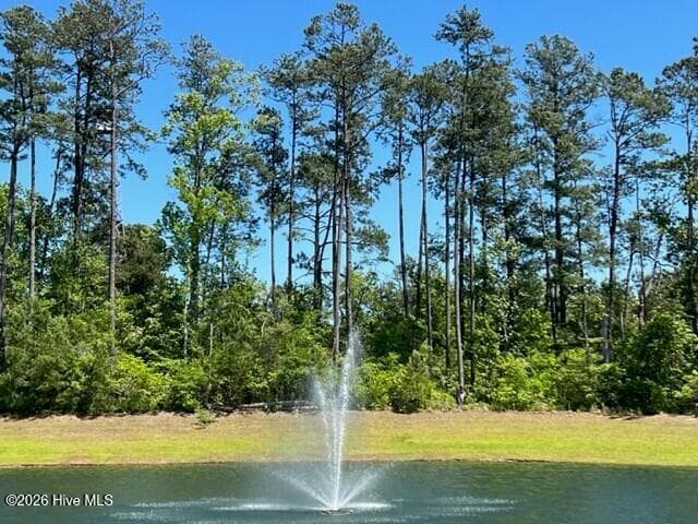 Single Family Residence at 1554 E White Egret Lane NE Lot 737, Bolivia, NC 28422, photo 33 of 41