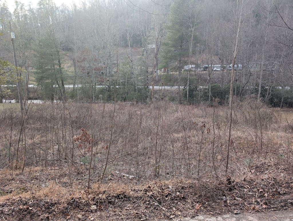 Land at Lot 3 Riverview, Robbinsville, NC 28771, photo 5 of 33