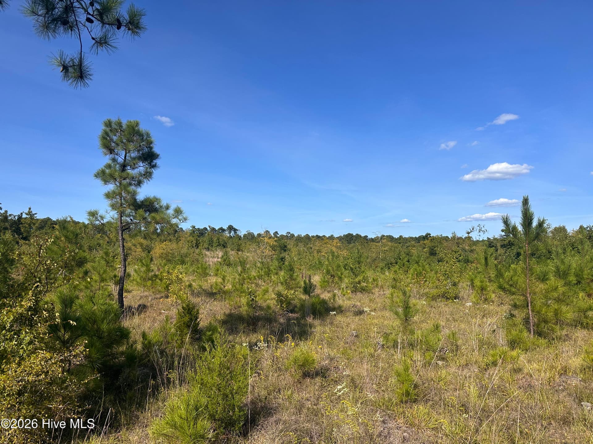 Mixed Use at Hwy 139 And Hwy 28 Old Plum Branch Rd S, Plum Branch, SC 29845, photo 6 of 8