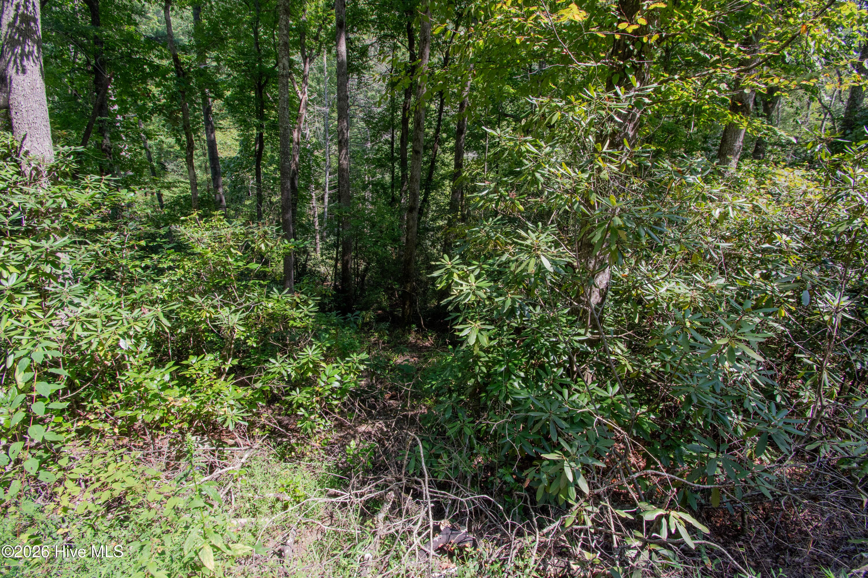 Lt 8 8 Snowbird Woods Road, Robbinsville, NC 28771