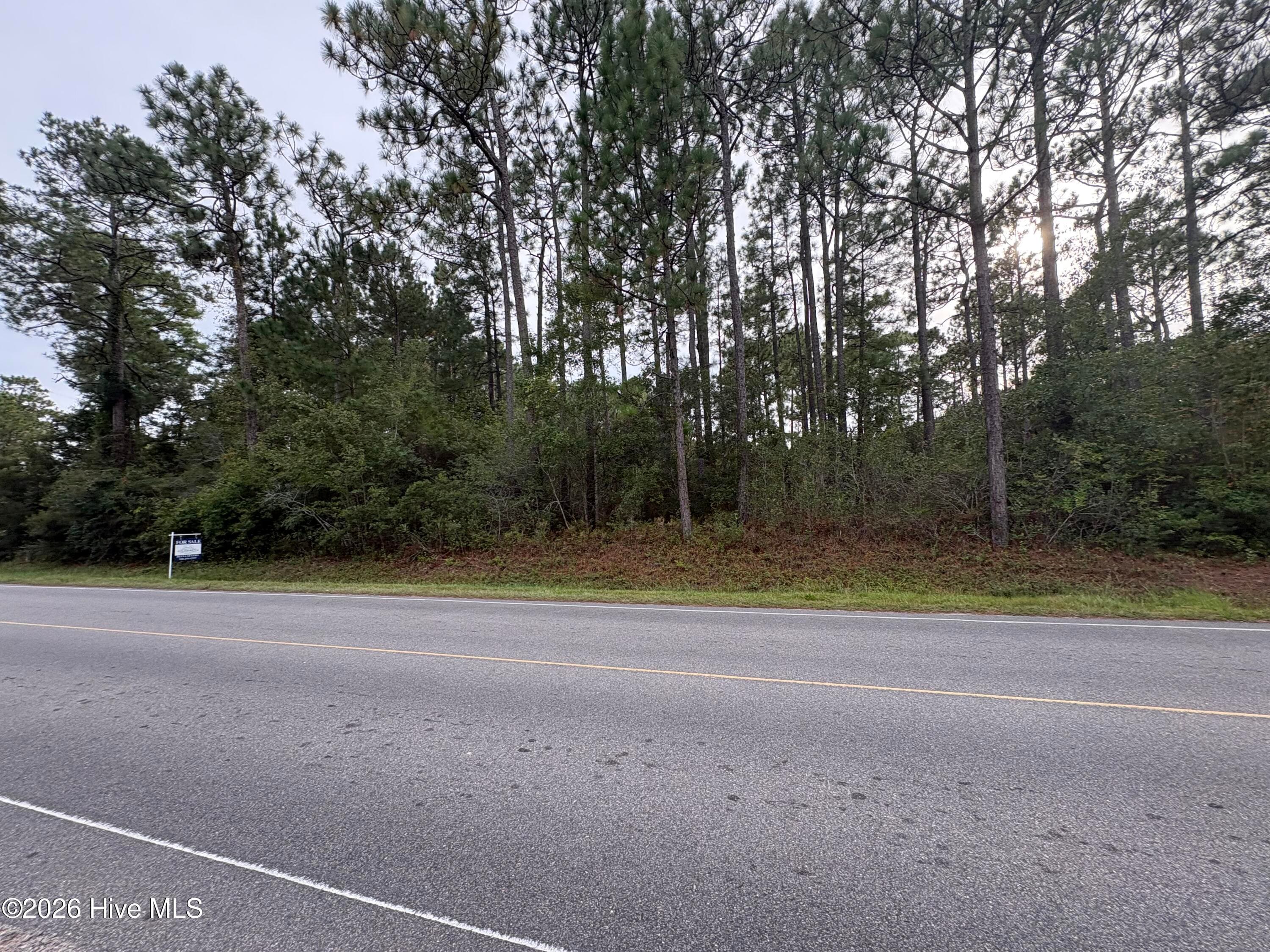 Wooded at L-80/81 80/81 Nassau Road, Boiling Spring Lakes, NC 28461, photo 5 of 11