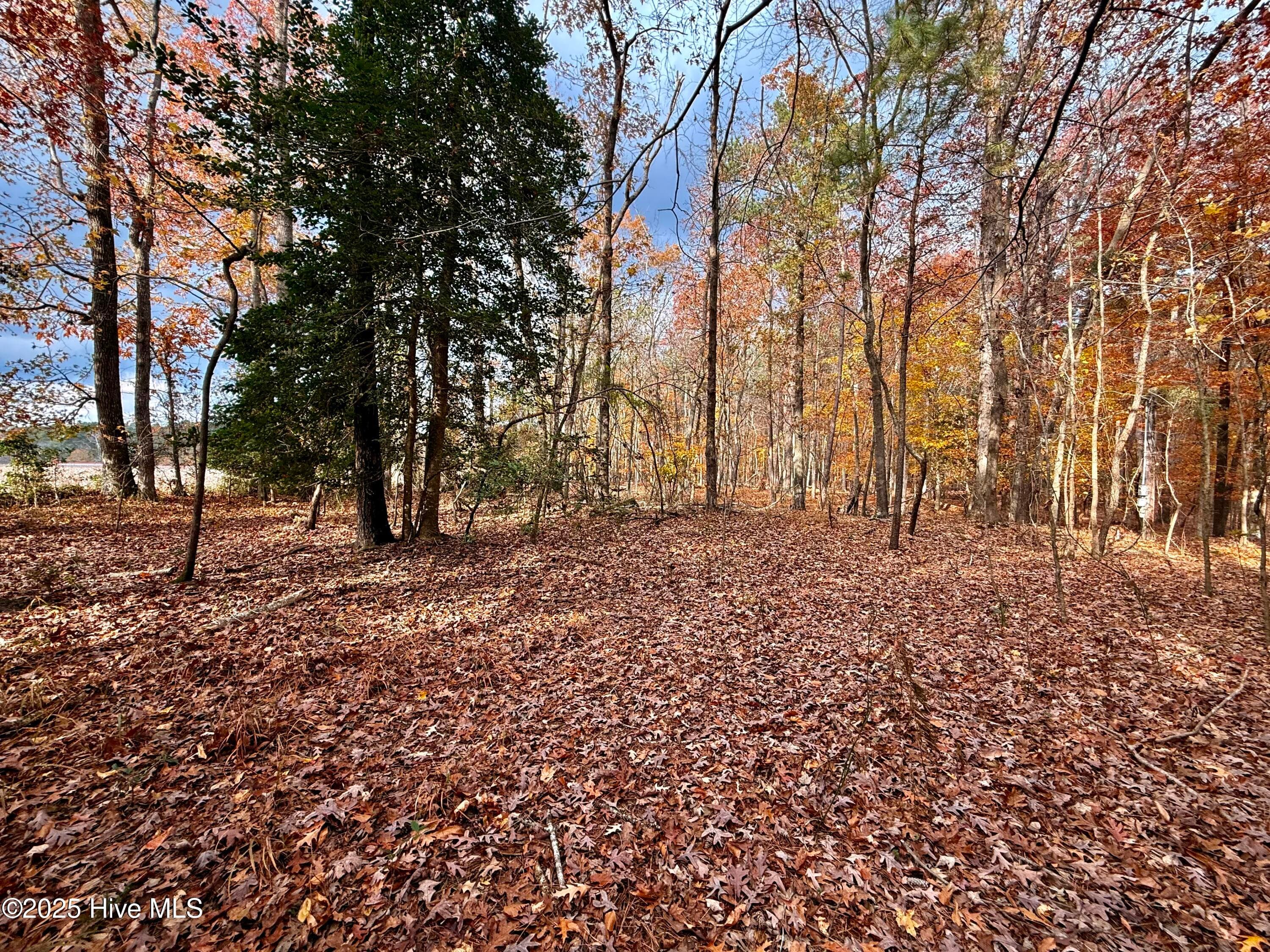 Wooded at 0 Williams Road, Williamston, NC 27892, photo 13 of 16