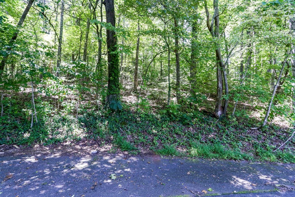Residential Lot at Lot 6 6 Kilpatrick Point Lane, Hayesville, NC 28904, photo 5 of 11