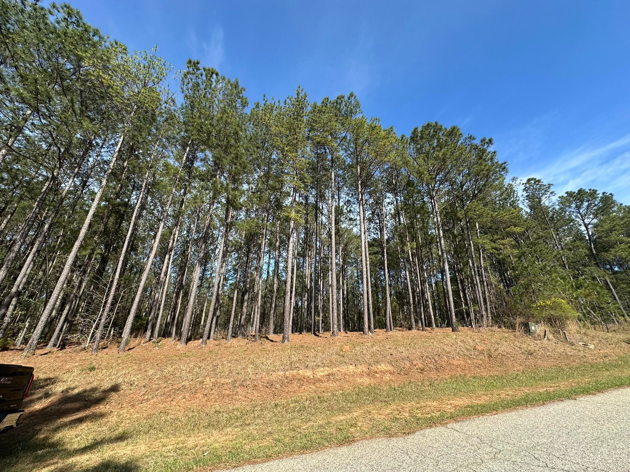 Residential Lot at Lot 65 65 Maiden Cane Way, Lincolnton, GA 30817, photo 2 of 59