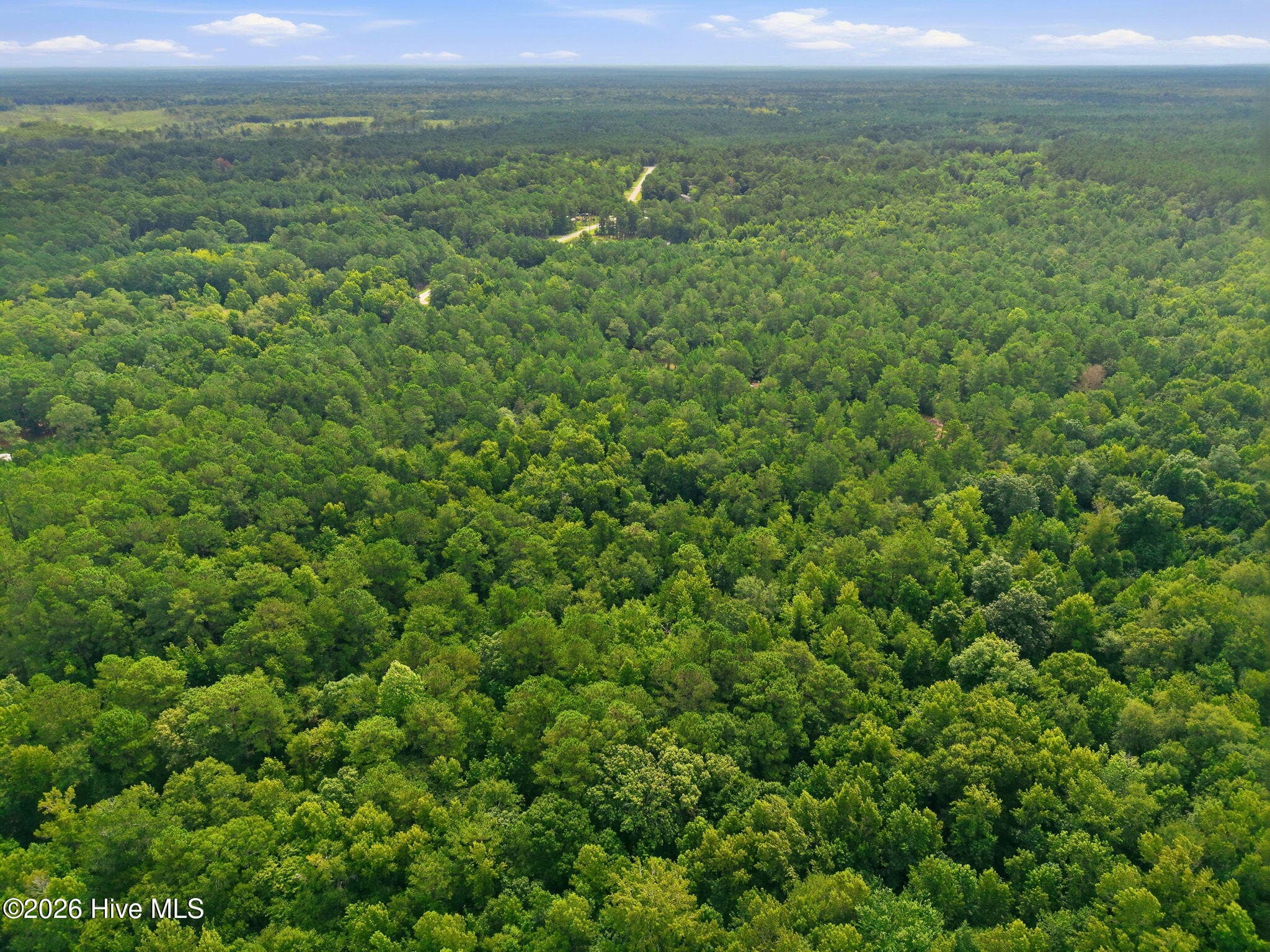Undeveloped at 0 Copperhead Lane, Burgaw, NC 28425, photo 16 of 24