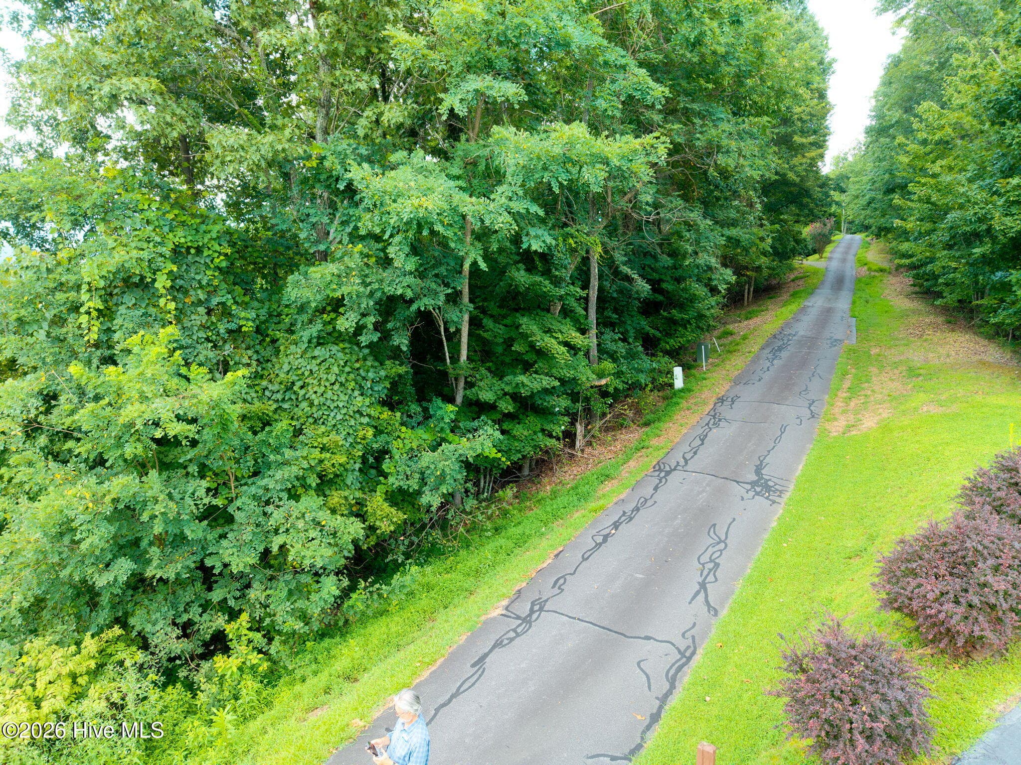 Undeveloped at 55 Buck Ridge Drive, Murphy, NC 28906, photo 8 of 15