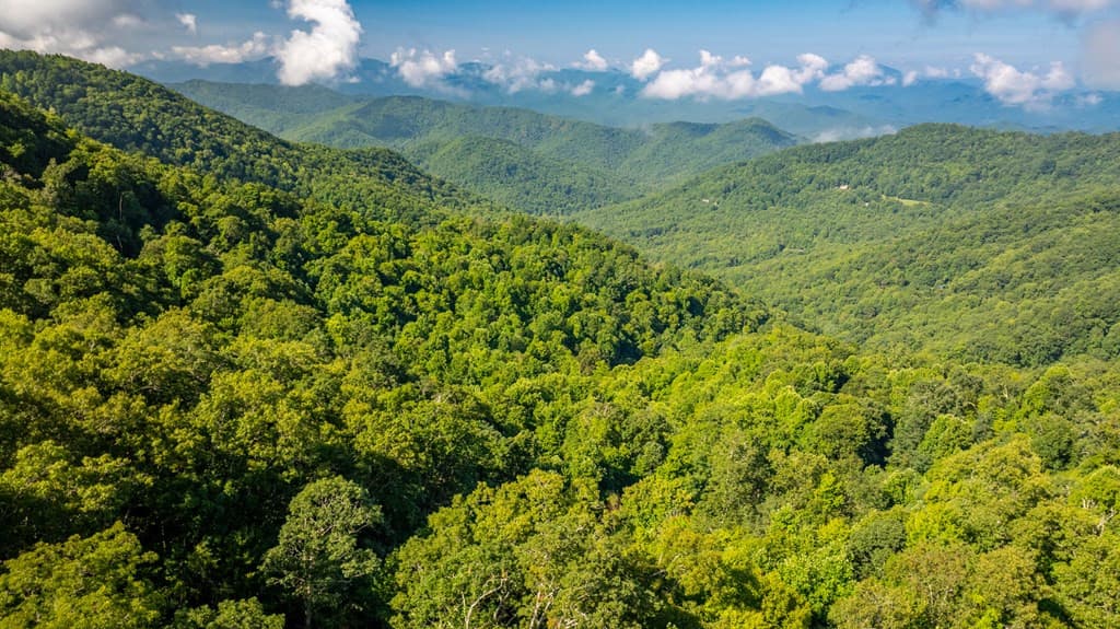 Land at 00 E Alarka Road, Bryson City, NC 28713, photo 15 of 28