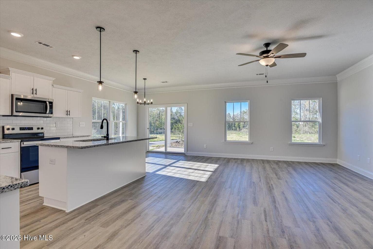Single Family Residence at 491 Mill Stone Lane, North Augusta, SC 29860, photo 3 of 23