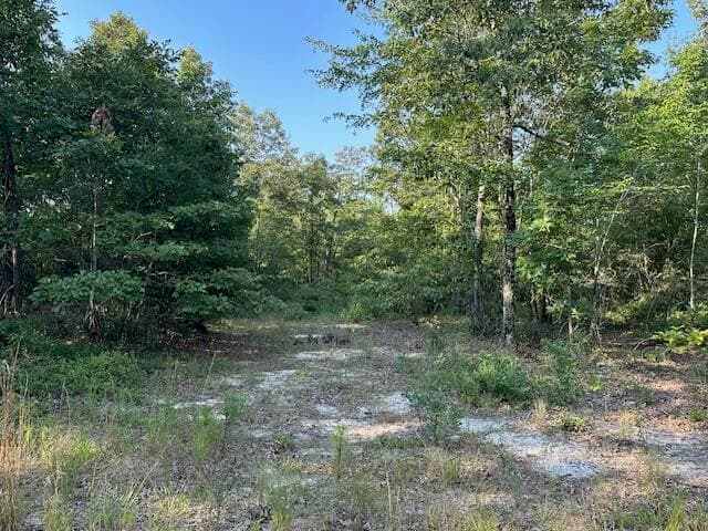Undeveloped at 2576 Jessie James Pond Road, Wrens, GA 30833, photo 53 of 56