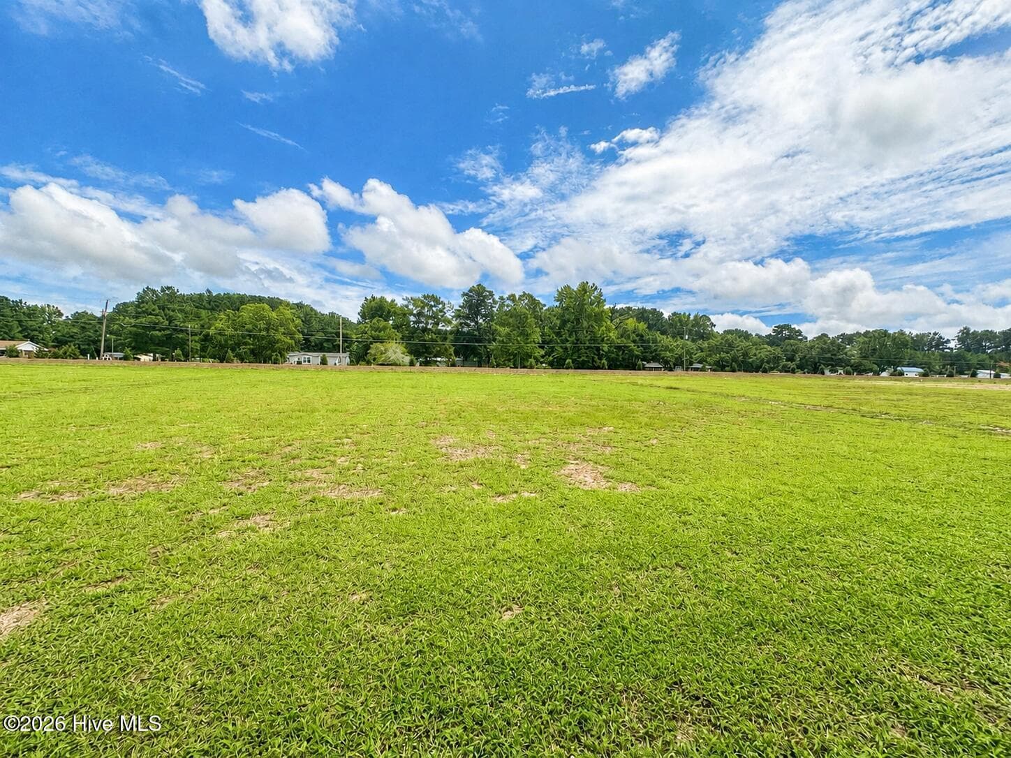 Single Family Residence at 113 Huckleberry Bush Lane, Princeton, NC 27569, photo 35 of 36