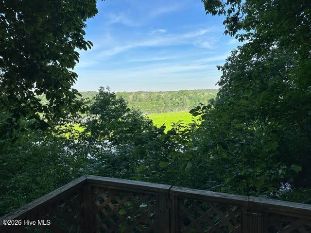 Single Family Residence at 194 Ingrams Mill Road, Ellerbe, NC 28338, photo 19 of 32