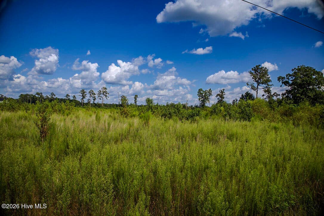 15 15 Mitchell Road, Fairmont, NC 28340