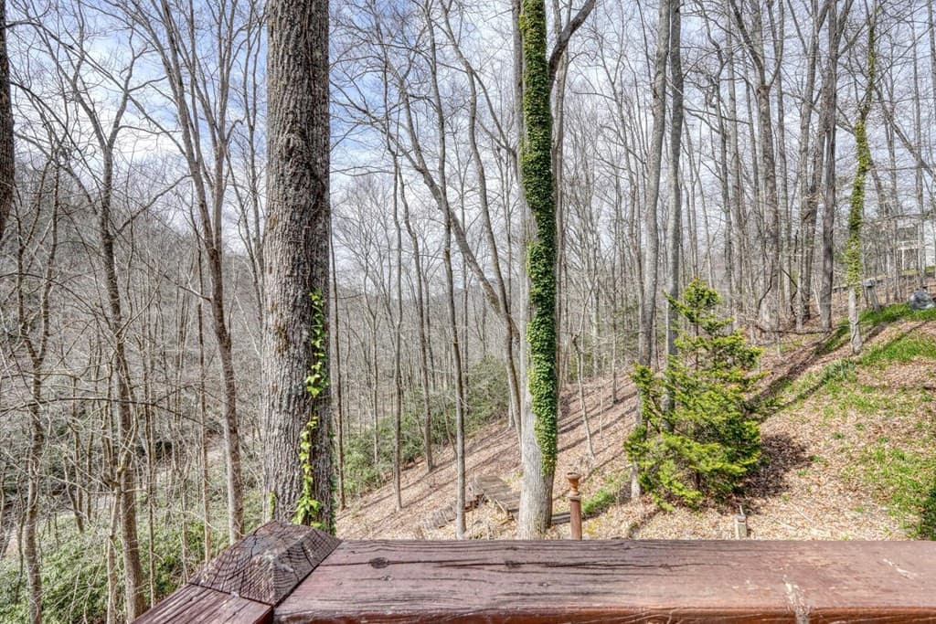 Residential at 575 Carolina Springs Lane, Franklin, NC 28734, photo 55 of 68