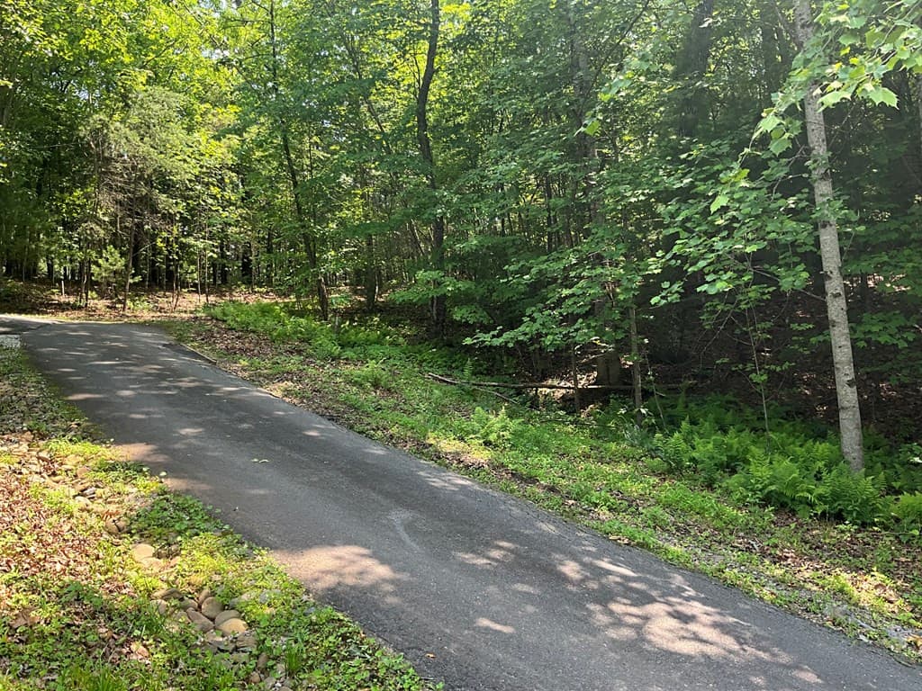 Land at 5 Birds View Lane, Murphy, NC 28906, photo 4 of 17
