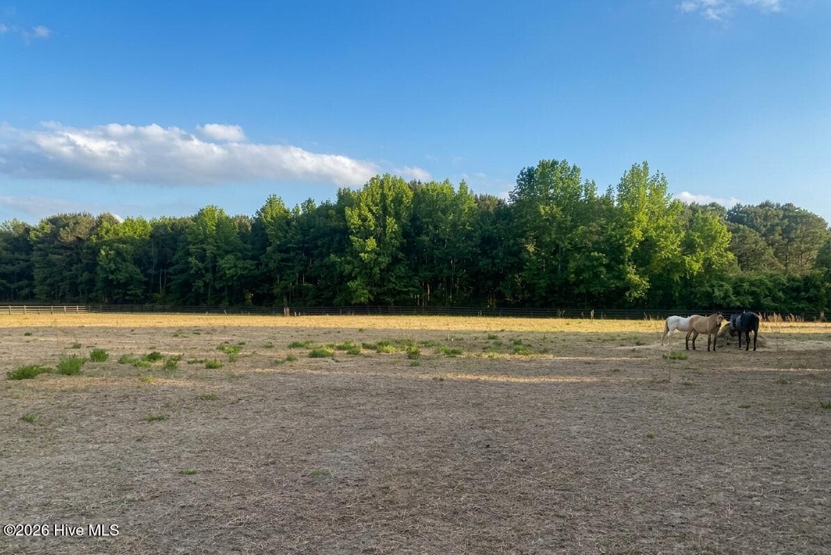 Residential Lot at 52 Fellowship Church Road, Princeton, NC 27569, photo 10 of 19