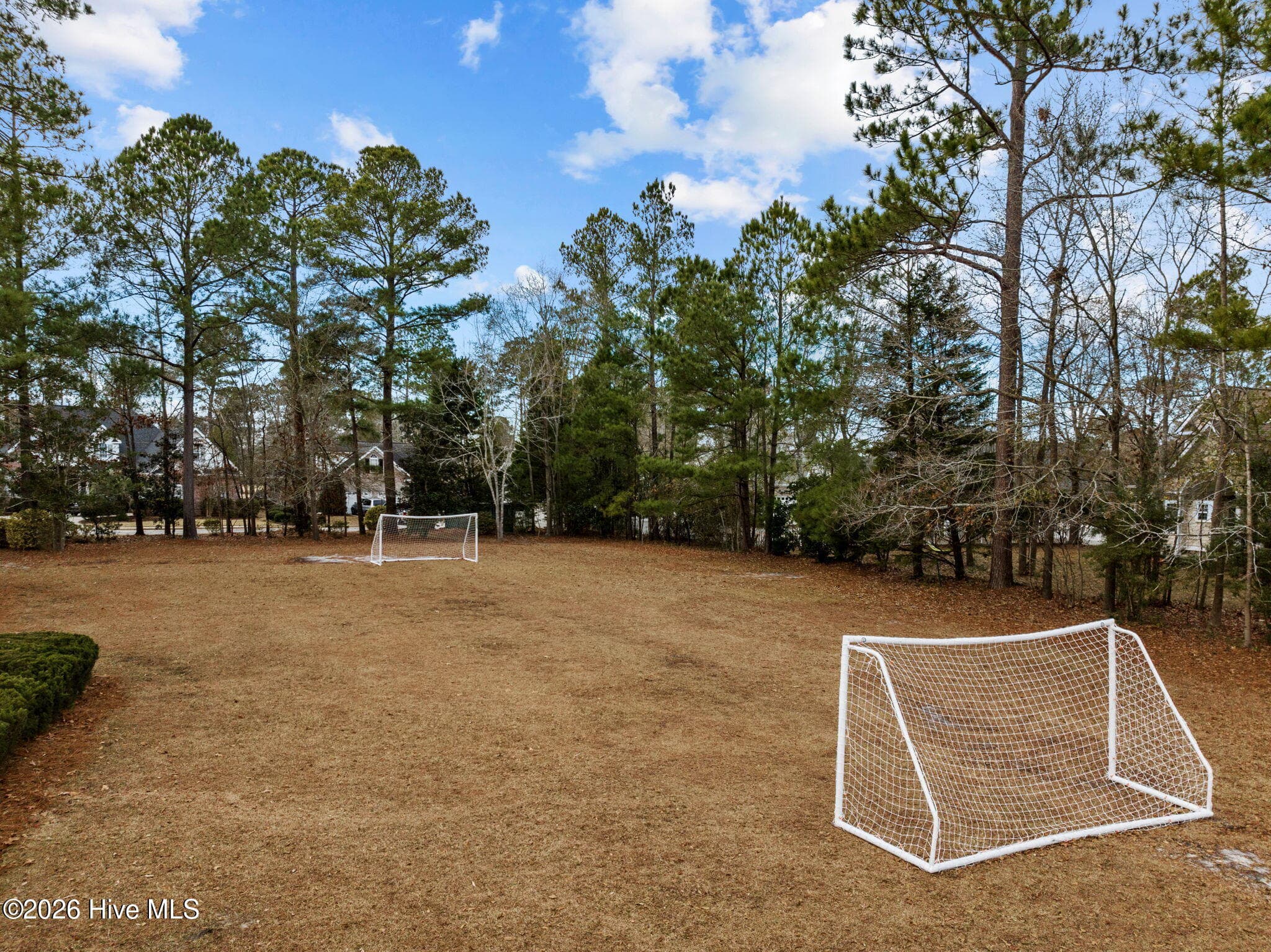 Townhouse at 1331 Arbor Ridge Way, Leland, NC 28451, photo 62 of 82