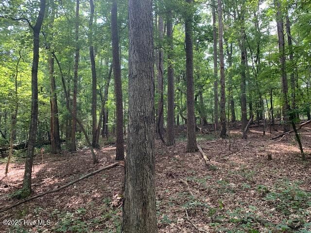 Residential Land at 54 54 Palomino Road, Carthage, NC 28327, photo 14 of 20