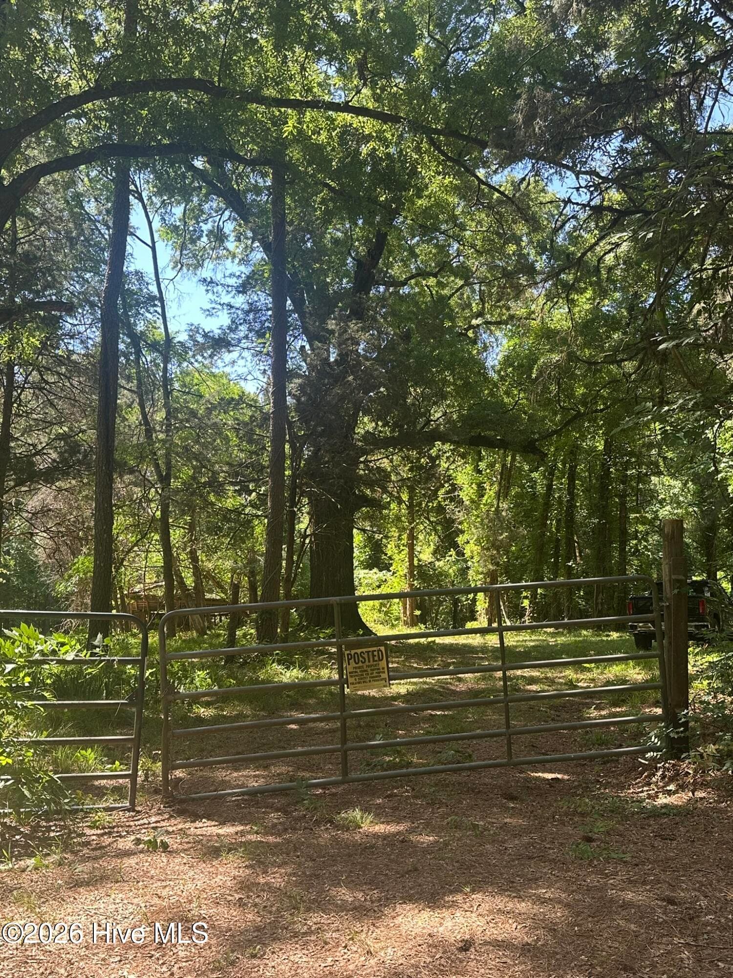 Agriculture at Lot 4 Saggus Road, Washington, GA 30673, photo 2 of 25